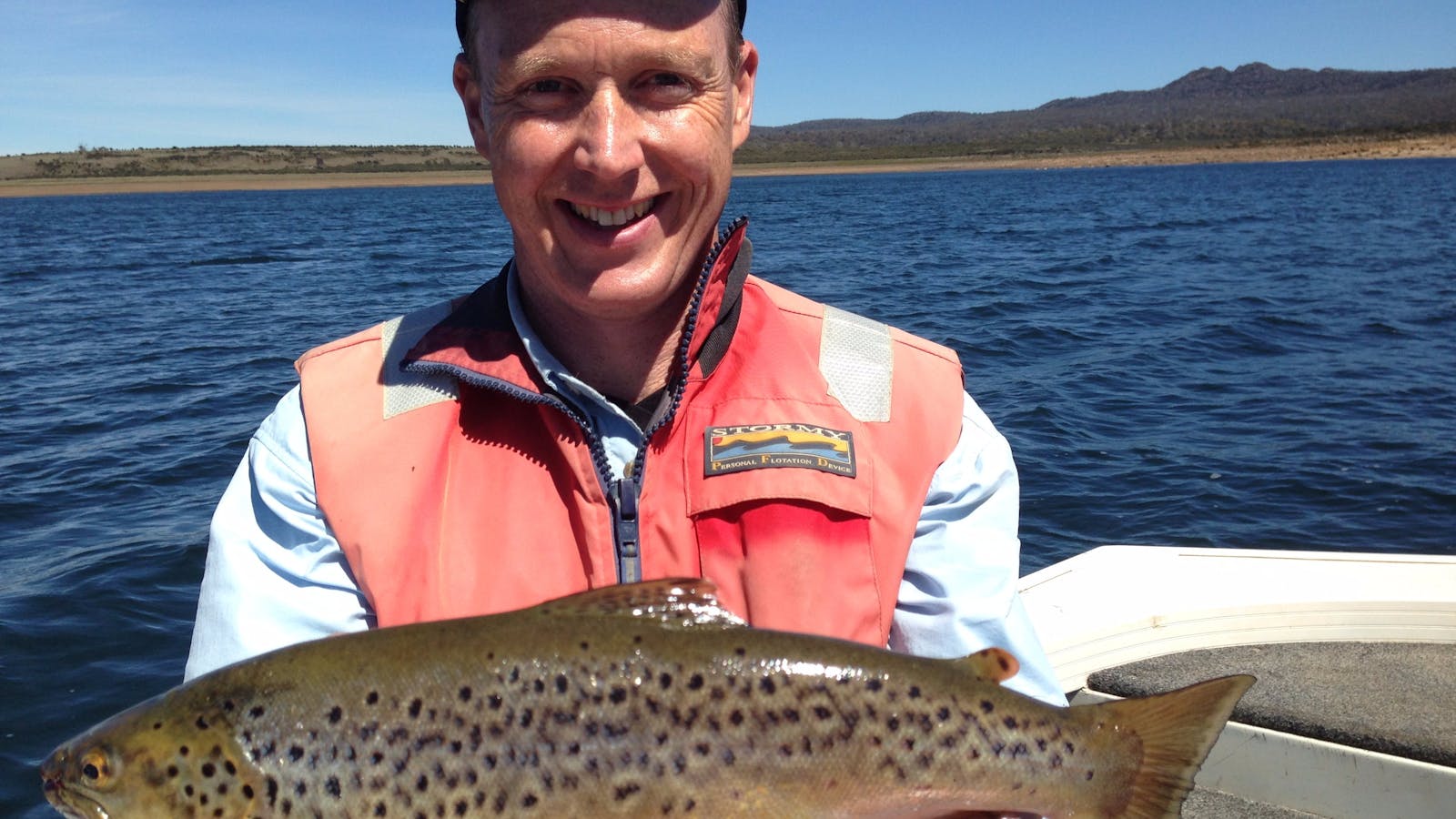 Great Lake brown trout