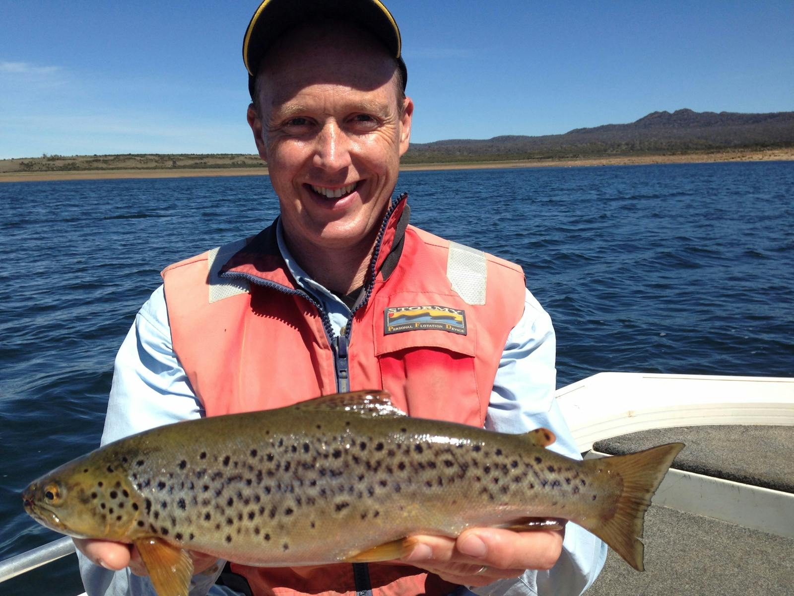 Great Lake brown trout