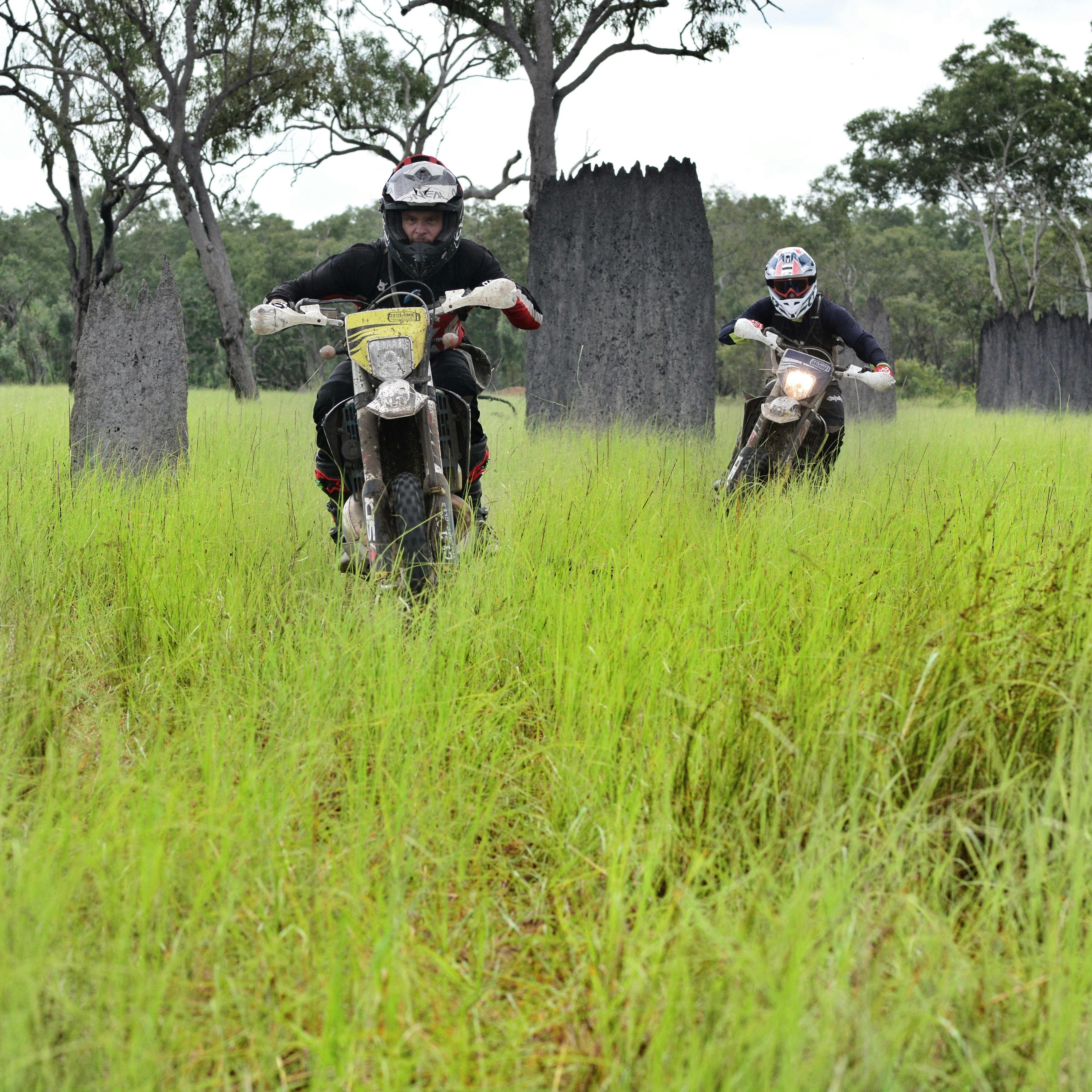 Magnetic termite mounds