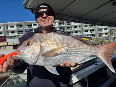 Snapper on Pumicestone Passage Snapper on Pumicestone Passage