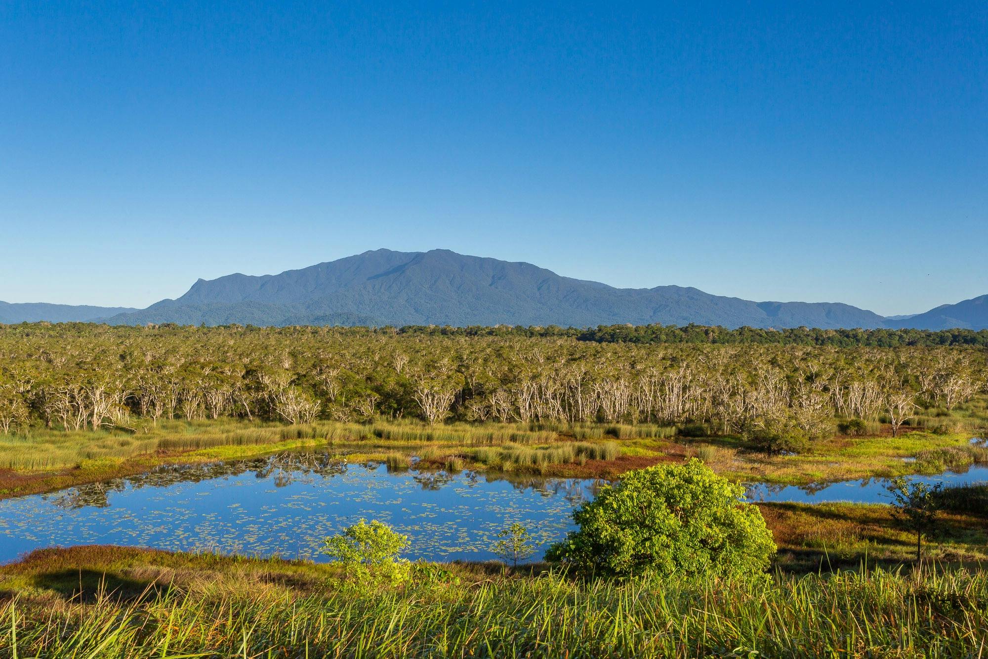 Take a Break in Babinda and Surrounds - half day itinerary