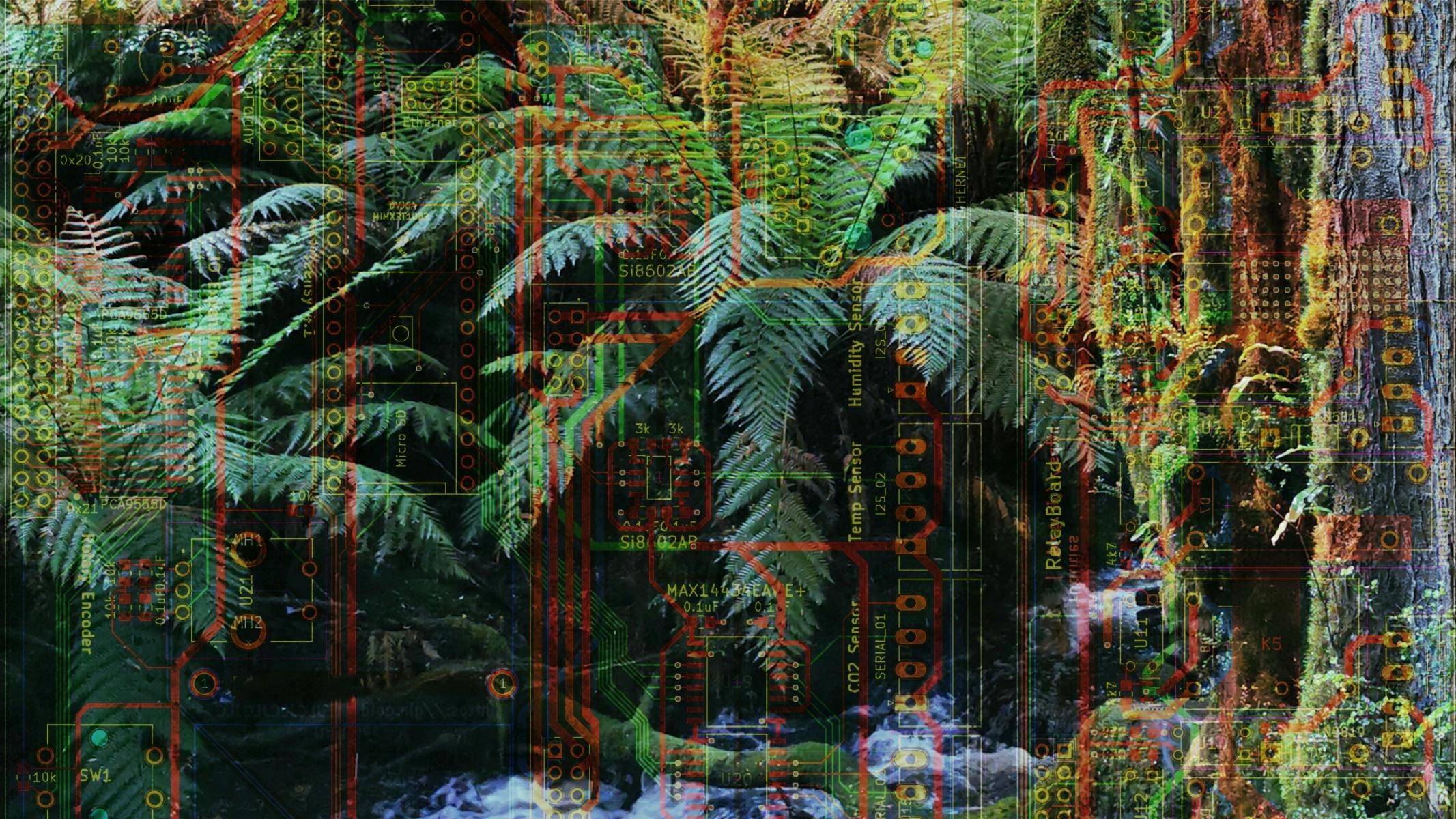 ferns in a forest and a small creek, overlayed with a circuit board design