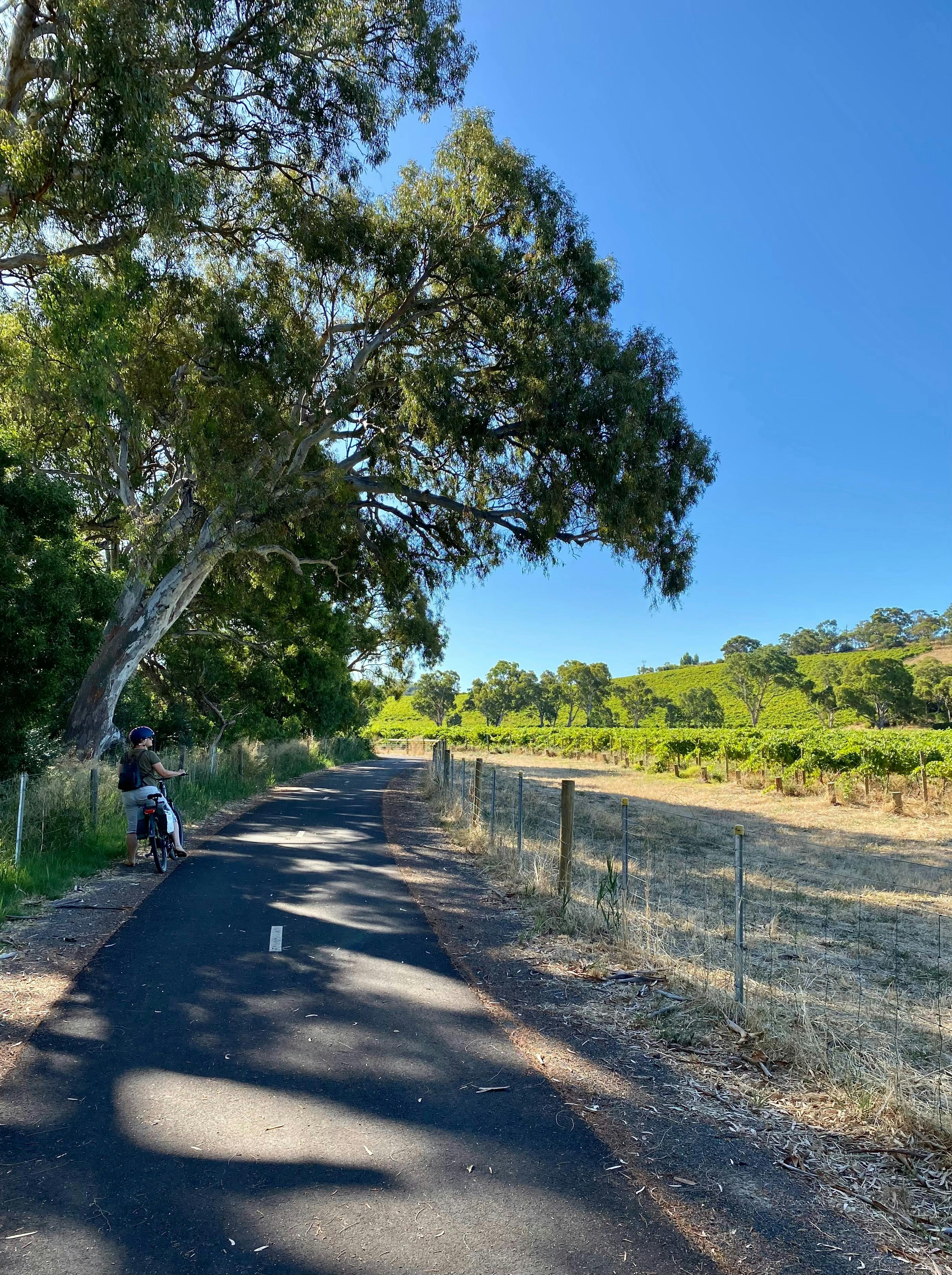 On the 'Flat to the Vale' Trail