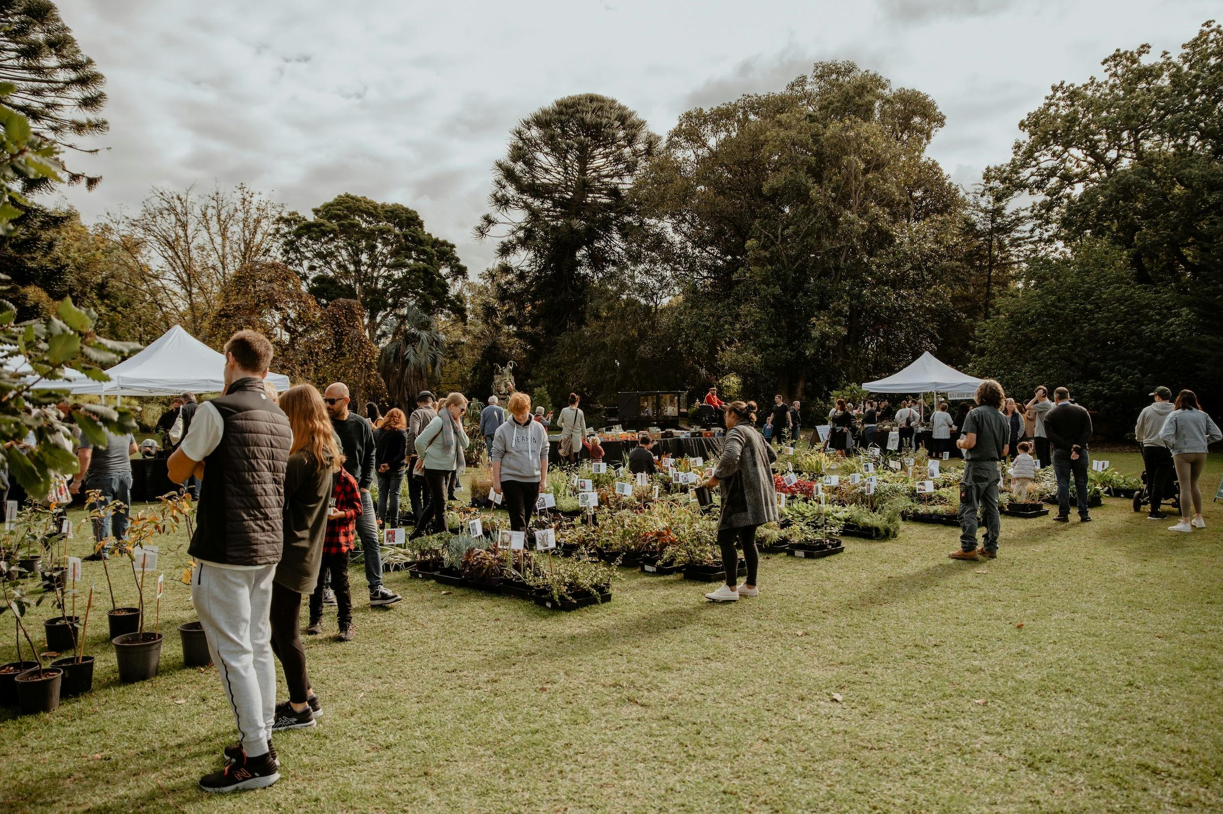 Botanica Festival