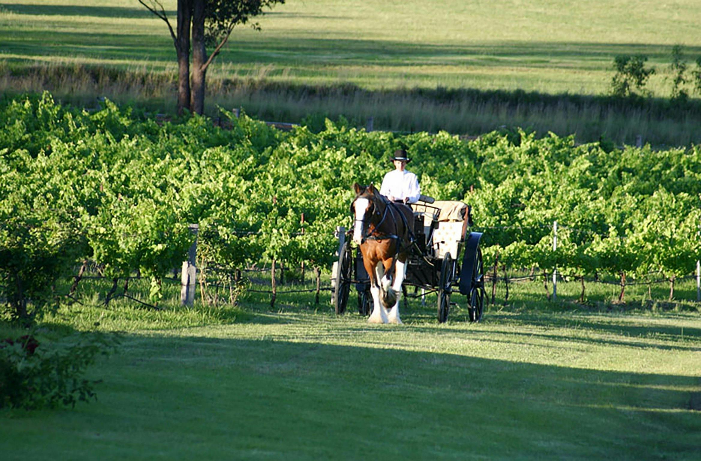 Hunter Valley Classic Carriages