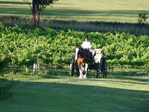 Hunter Valley Classic Carriages