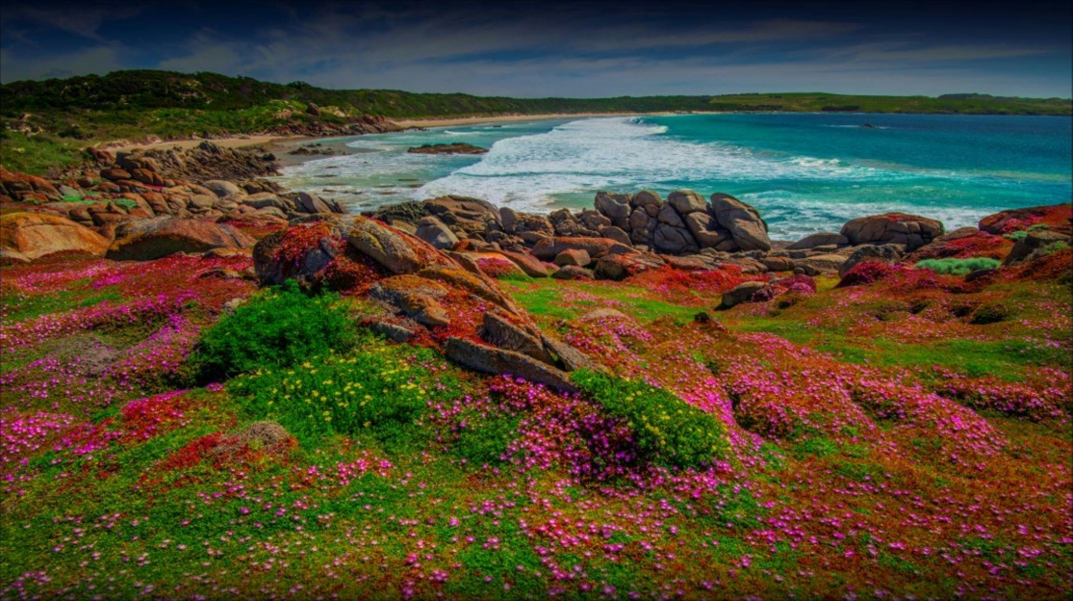 King Island Tours