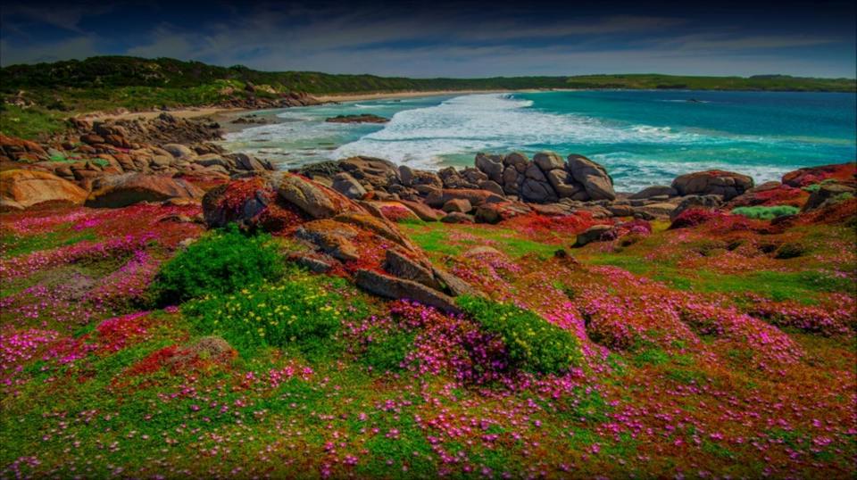 King Island Tours photo