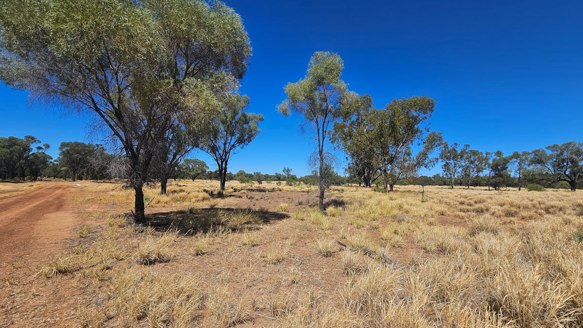 The open Outback Country at Ticklemans Gardens