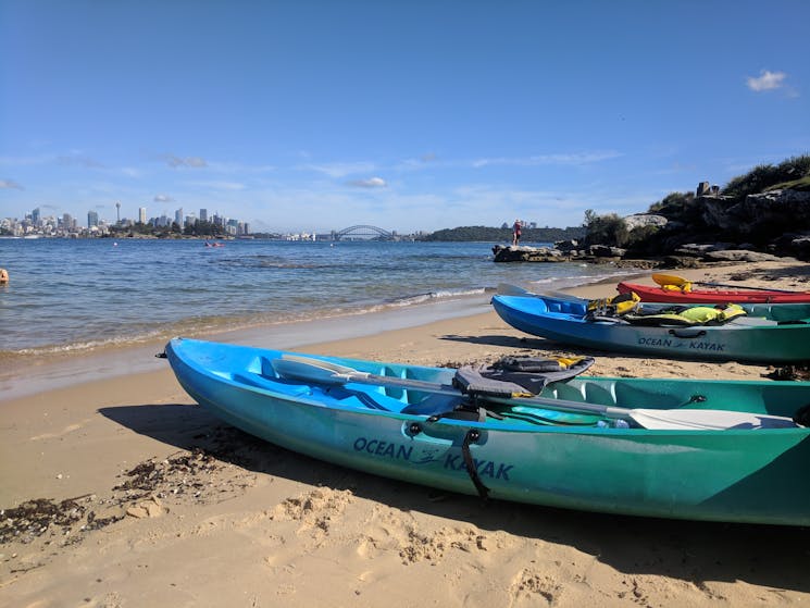 Views of Sydney from Shark Island