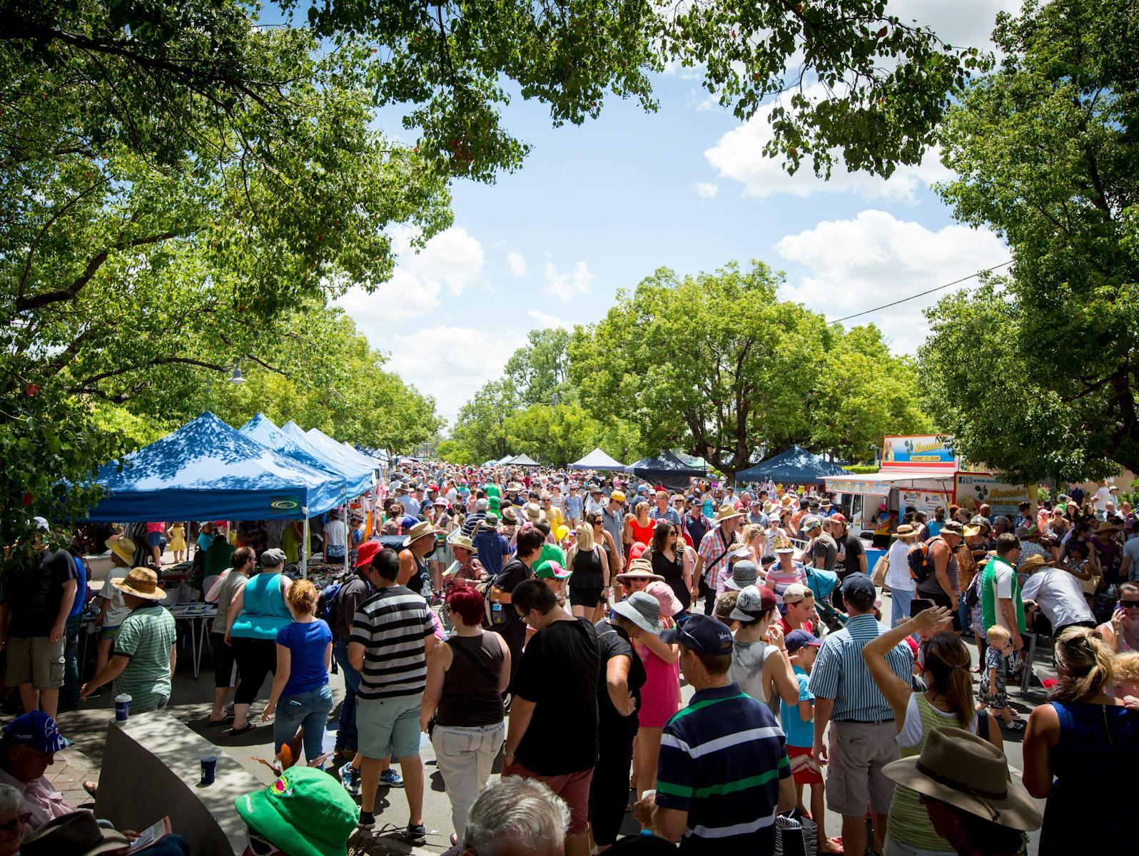 Chinchilla Melon Festival