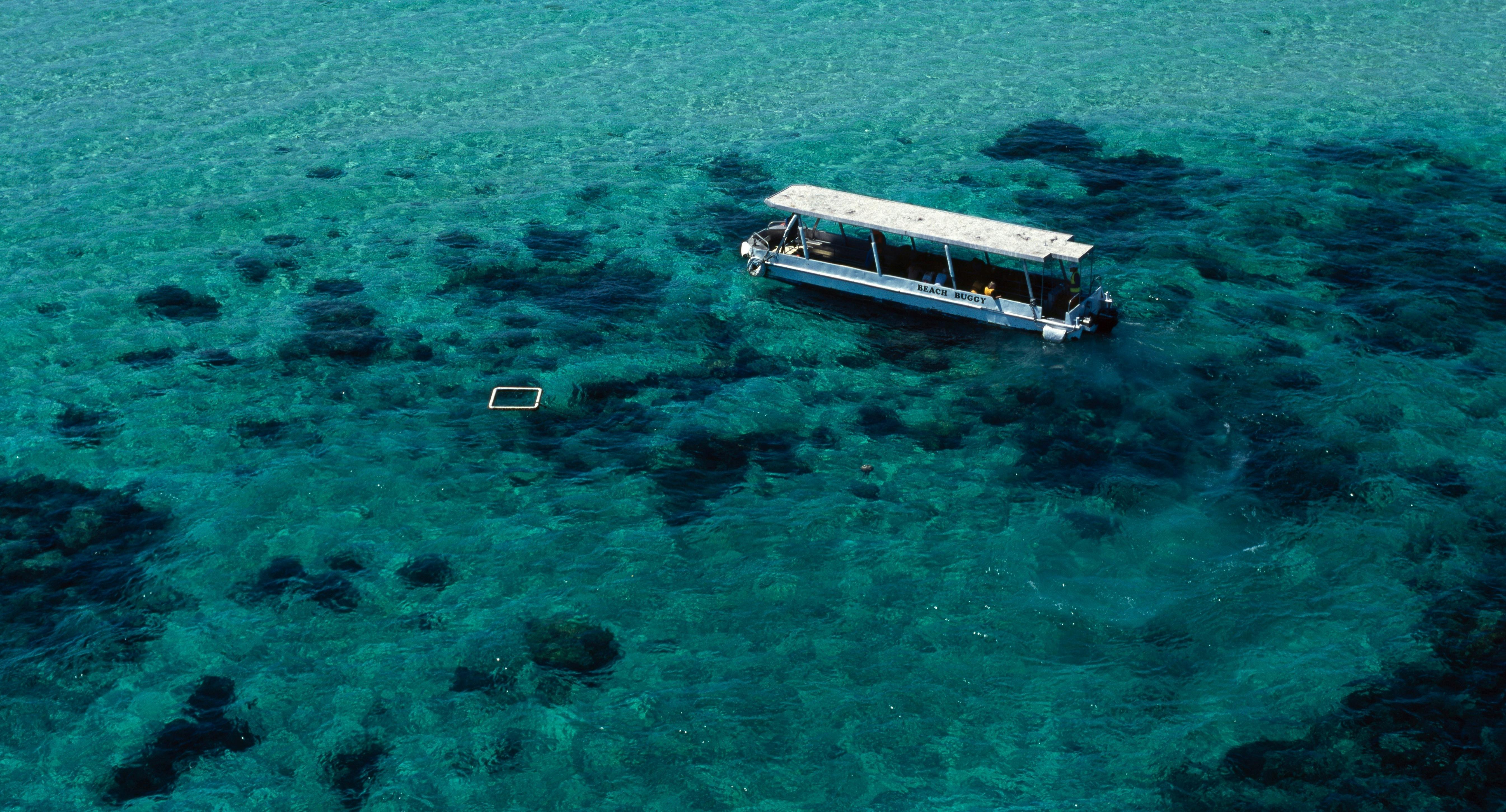 Glass Bottom Boat Tour - Upolu Reef -Ocean Freedom