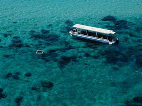 Glass Bottom Boat Tour - Upolu Reef -Ocean Freedom