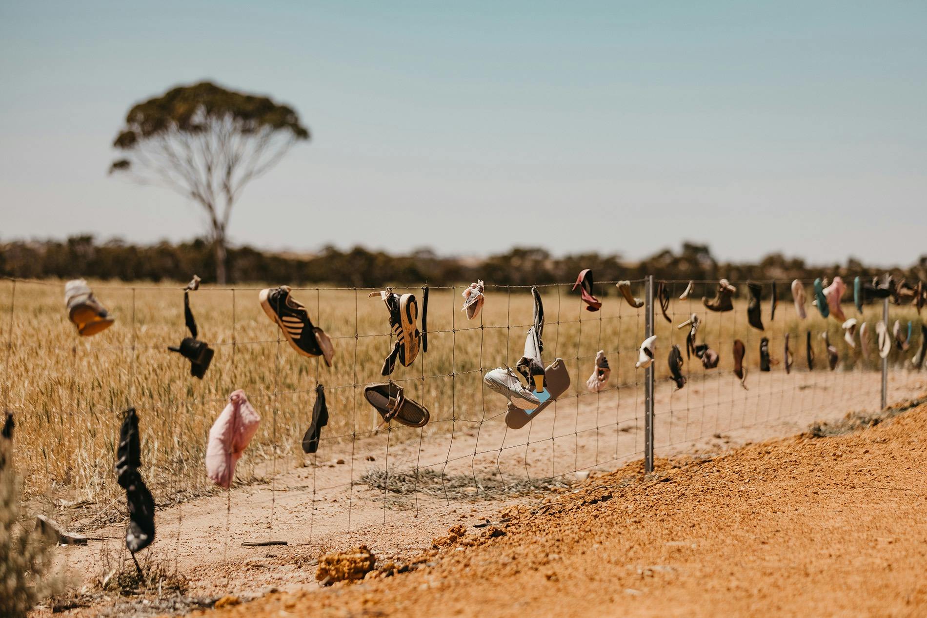 Row of sneakers hanging on a wire fence - Boot Mile, Narambeen