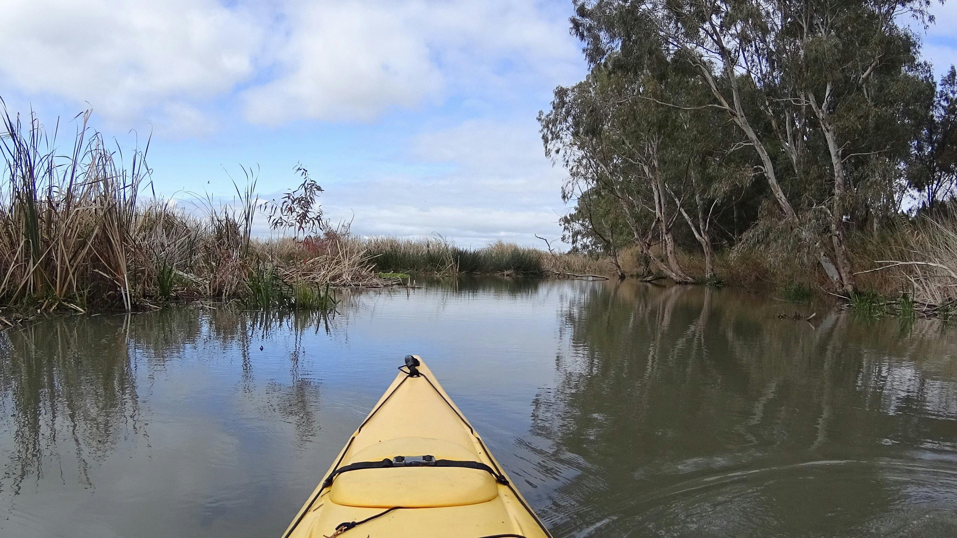 Lower Murray Canoe Trail
