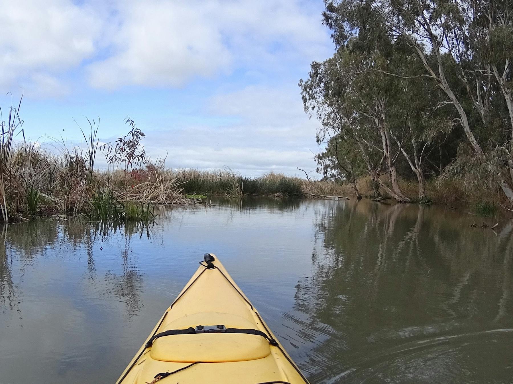 Lower Murray Canoe Trail