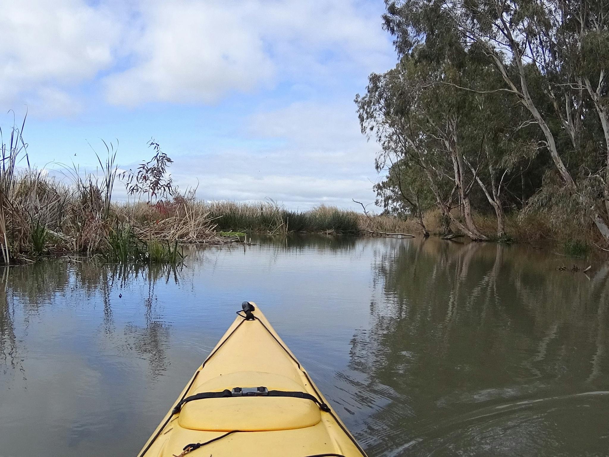 Lower Murray Canoe Trail