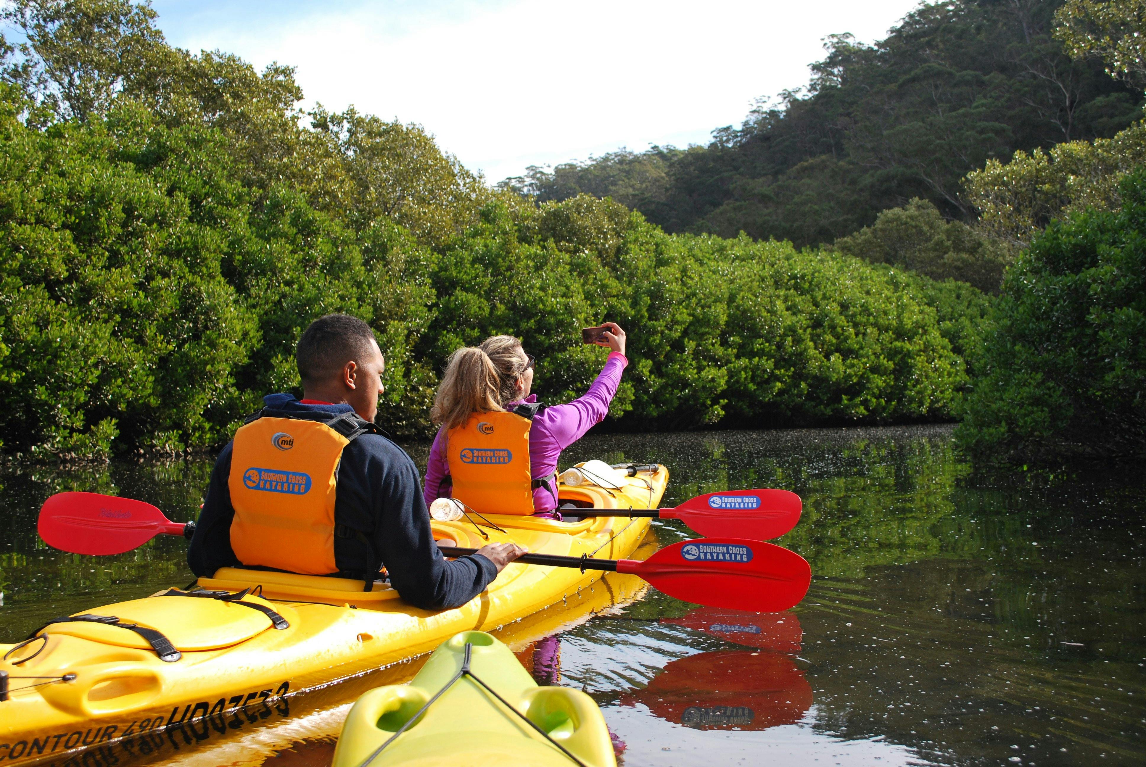 ホークスベリー川ガイド付きカヤック ツアー