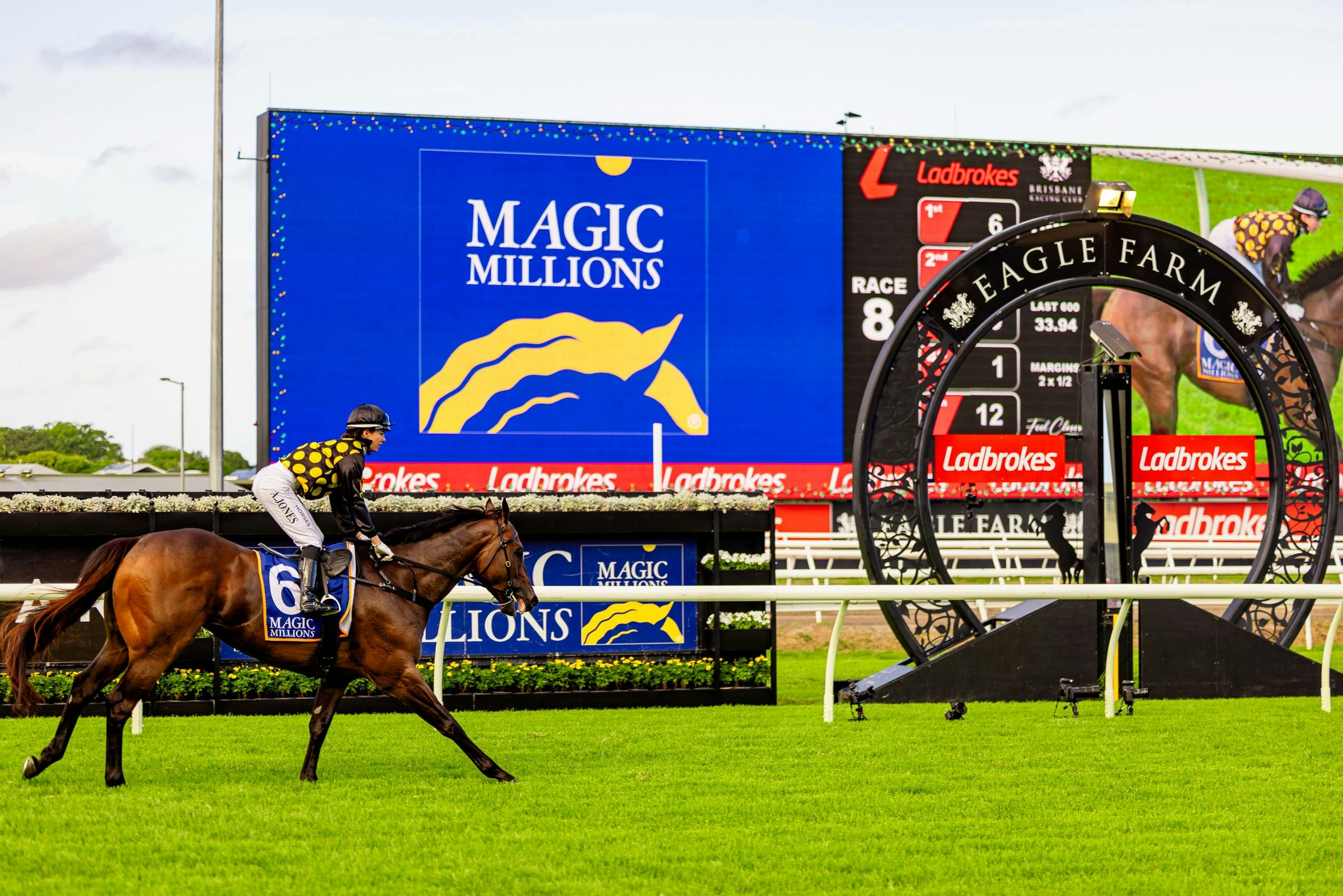 A horse running back to the winners circle with Magic Millions logos in the background