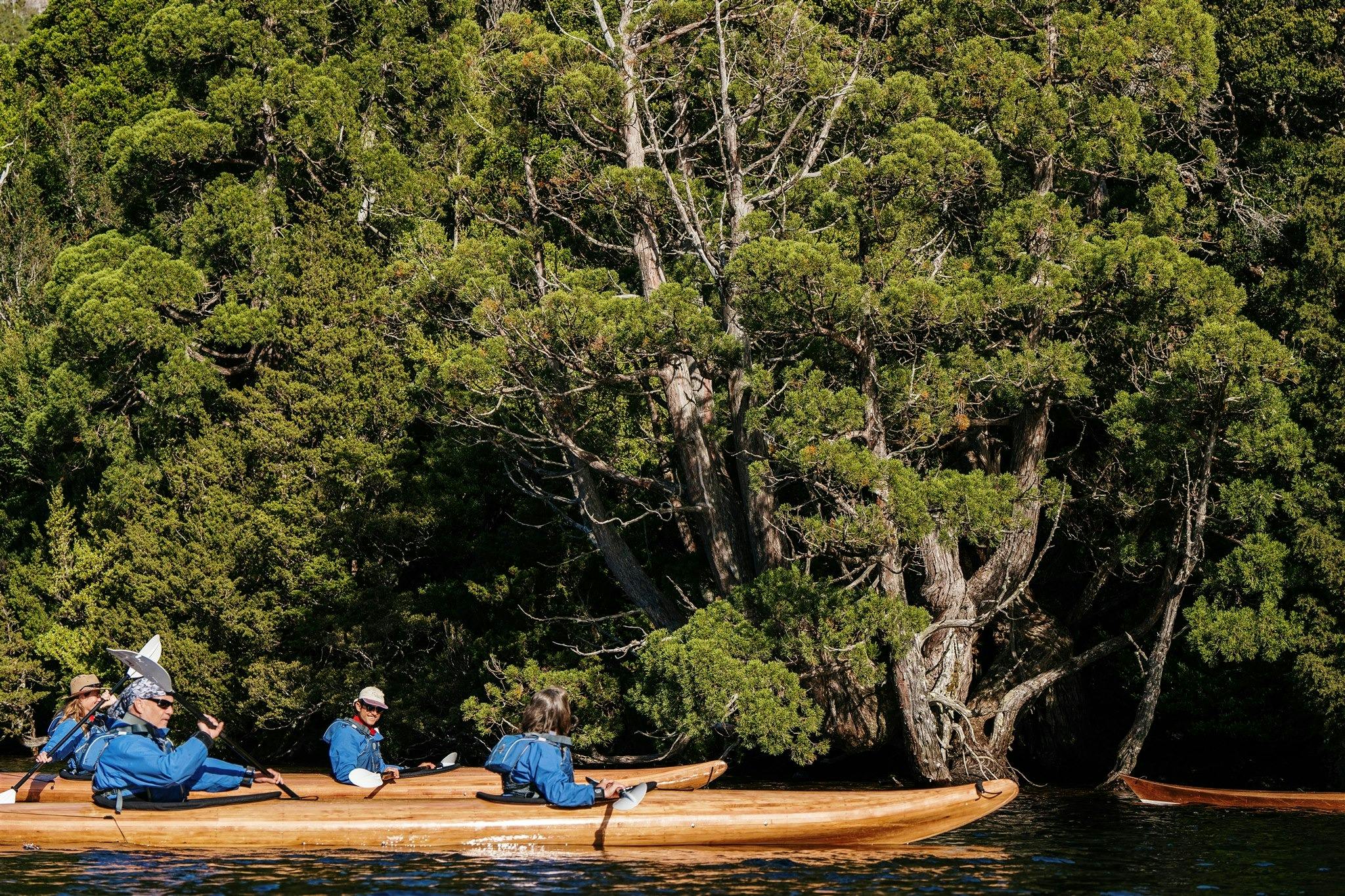 Timber kayaks on Dove Lake, paddling very  close to Pencil Pine and King Billy Pine trees