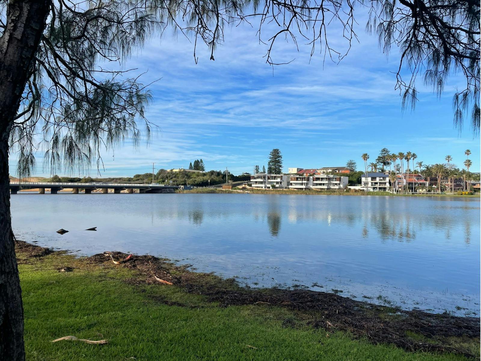 Berry Reserve Narrabeen