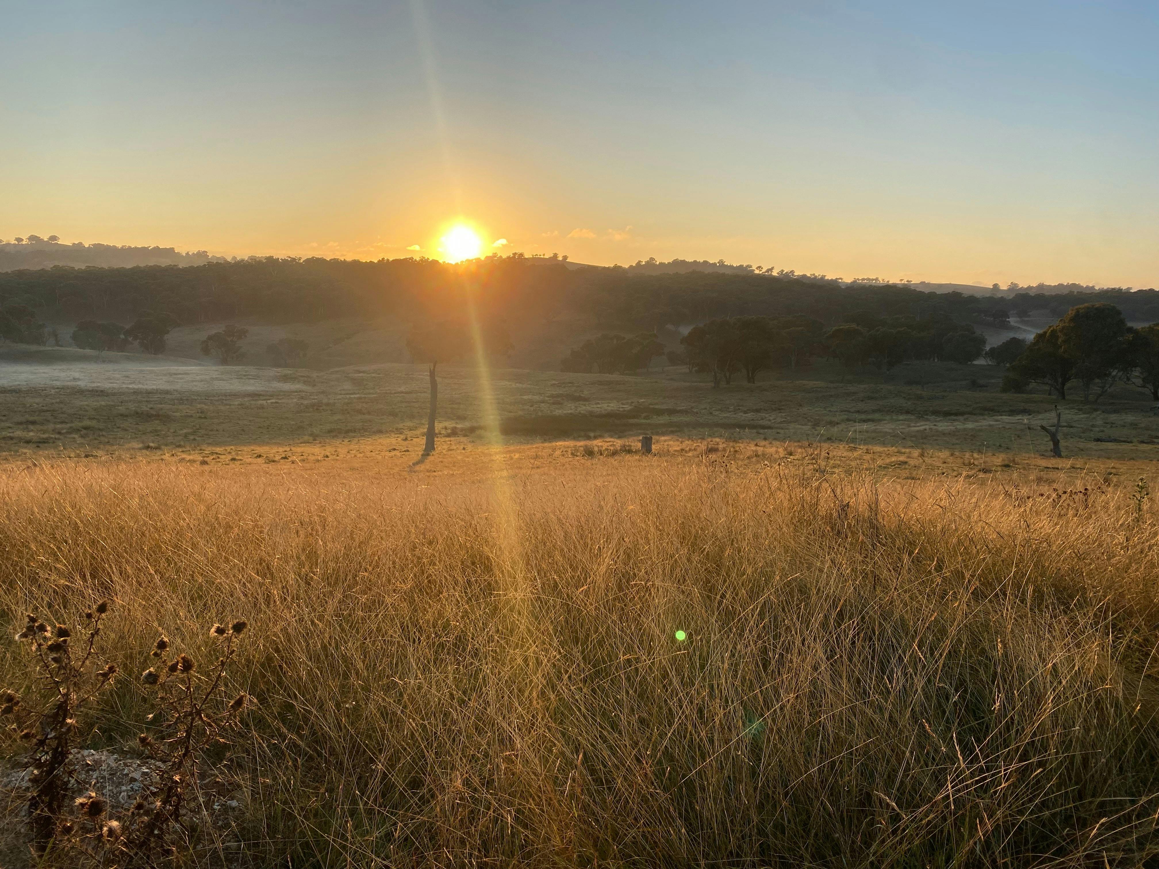 Upper Ayrston Cottage