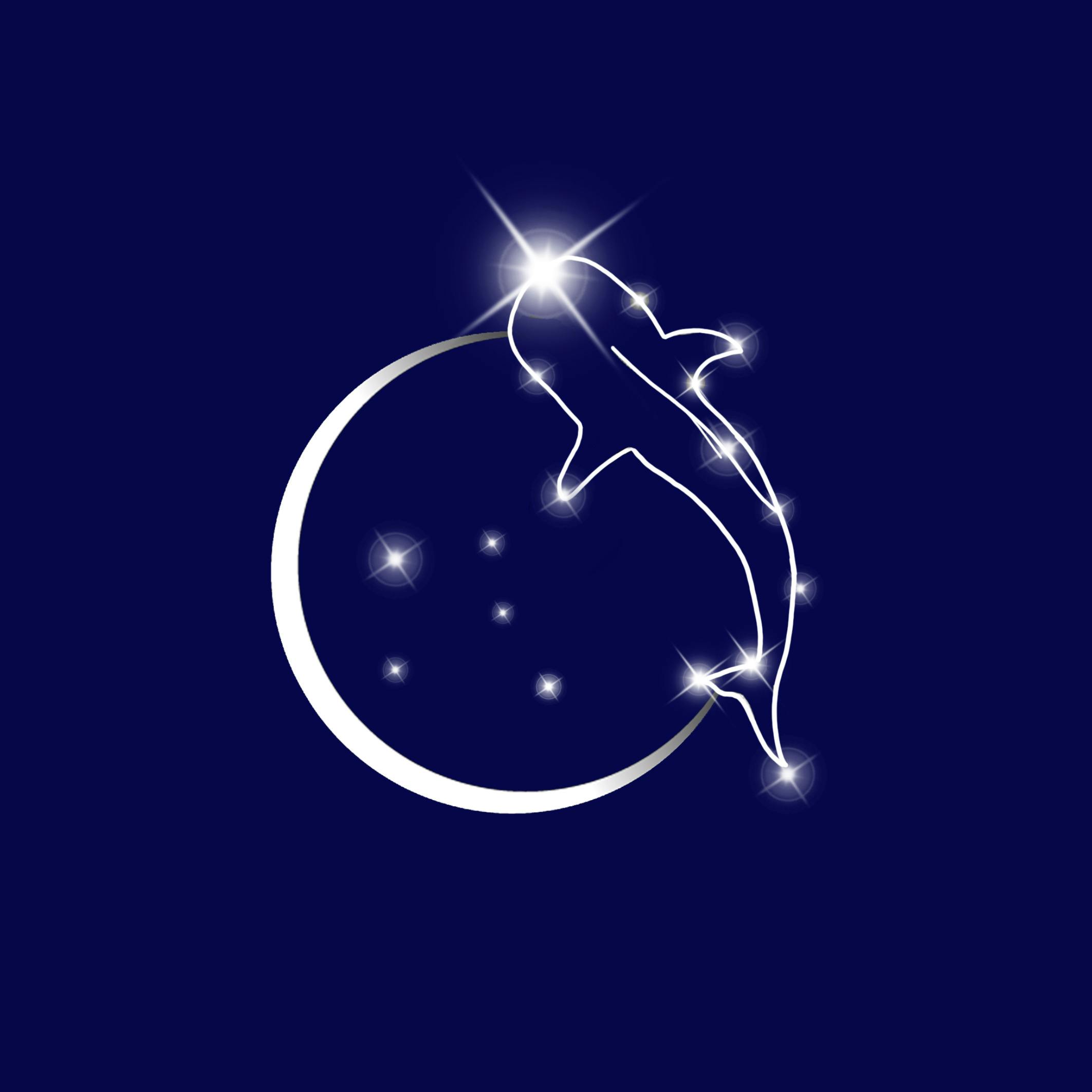 Ningaloo Stars Whaleshark Logo