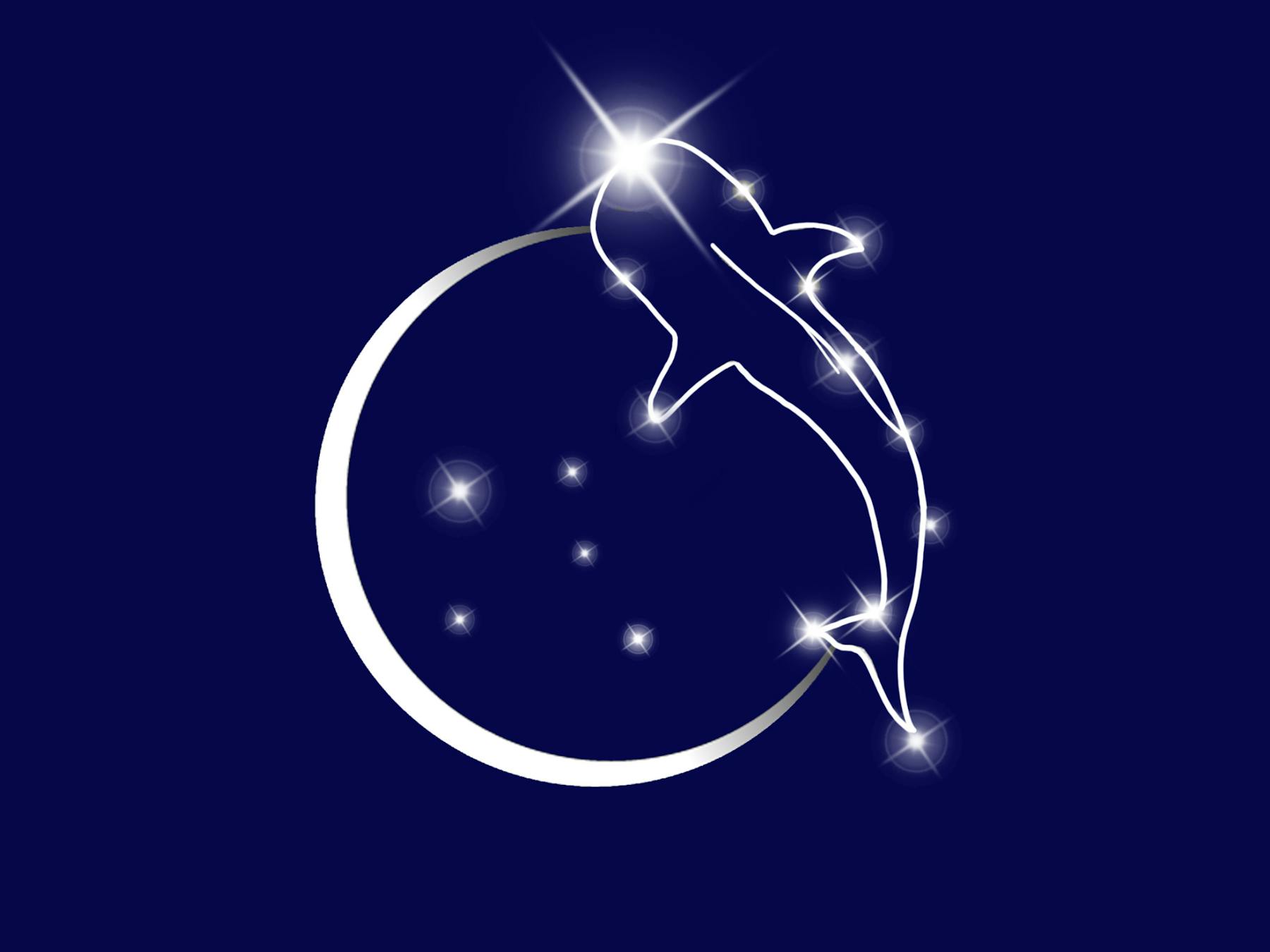 Ningaloo Stars Whaleshark Logo