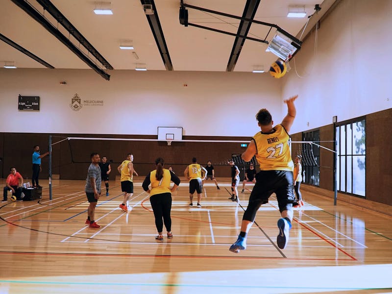 Image for Social Volleyball League