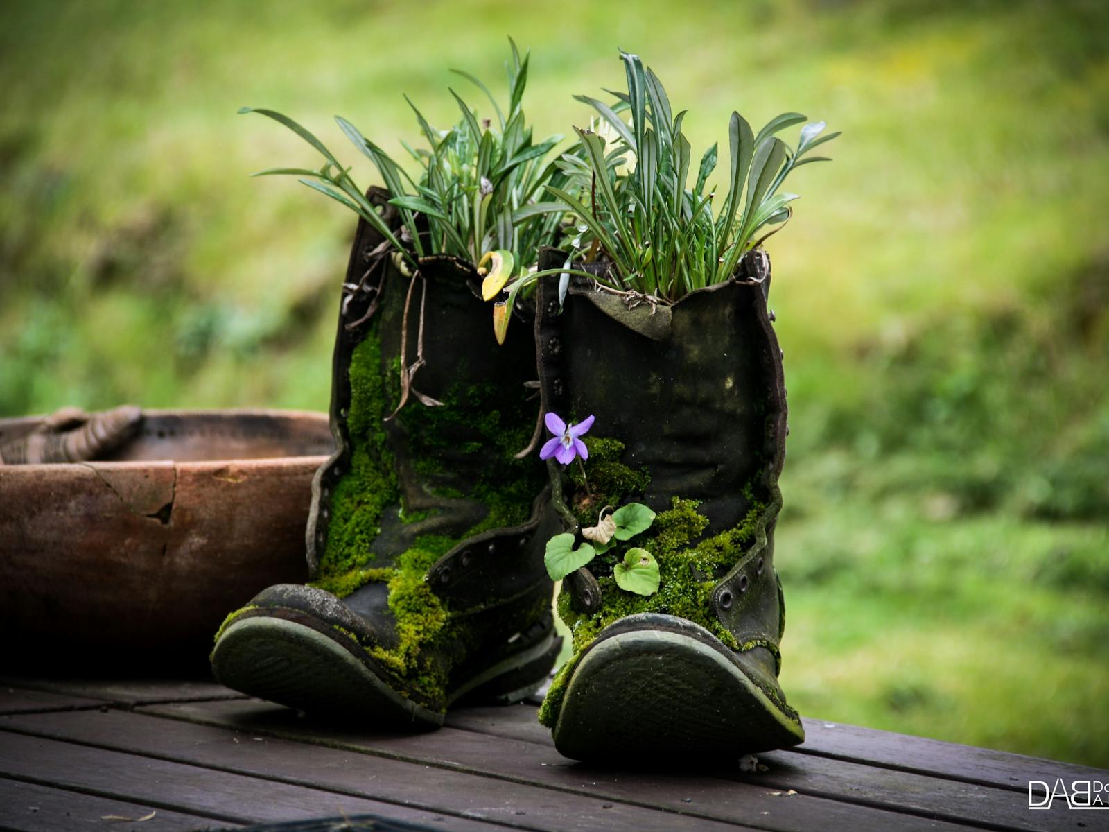 These boots were made for growing