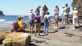 Gondwana Coast Fossil Walk