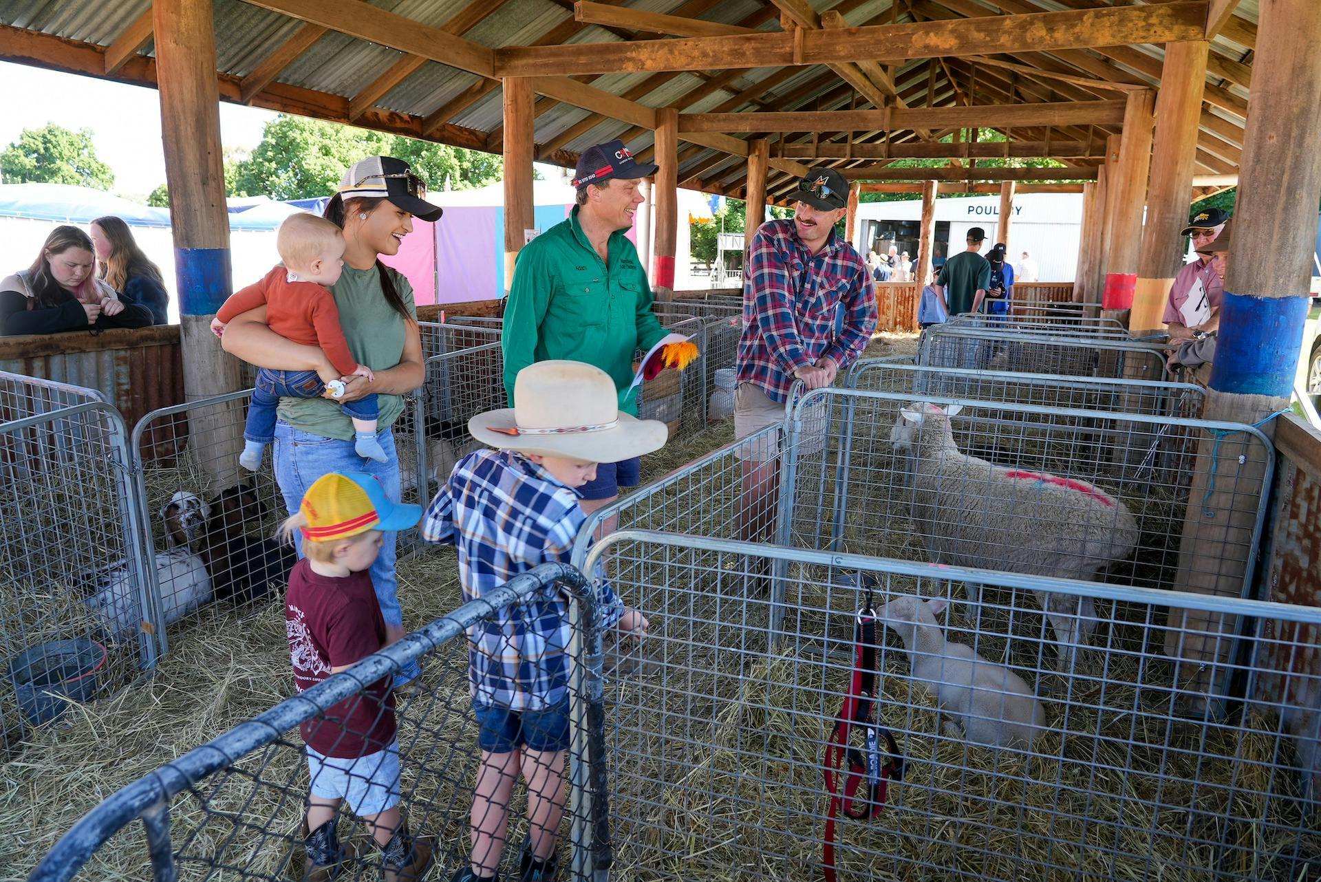 Animal Nursery