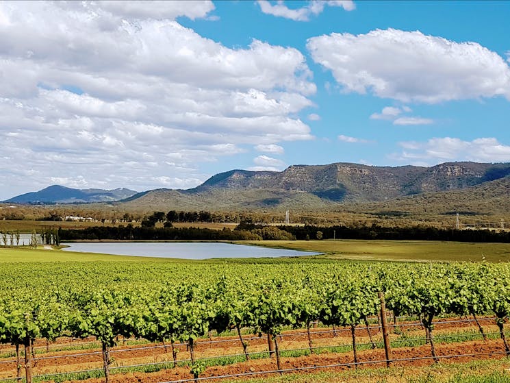 Brokenback Mountains View