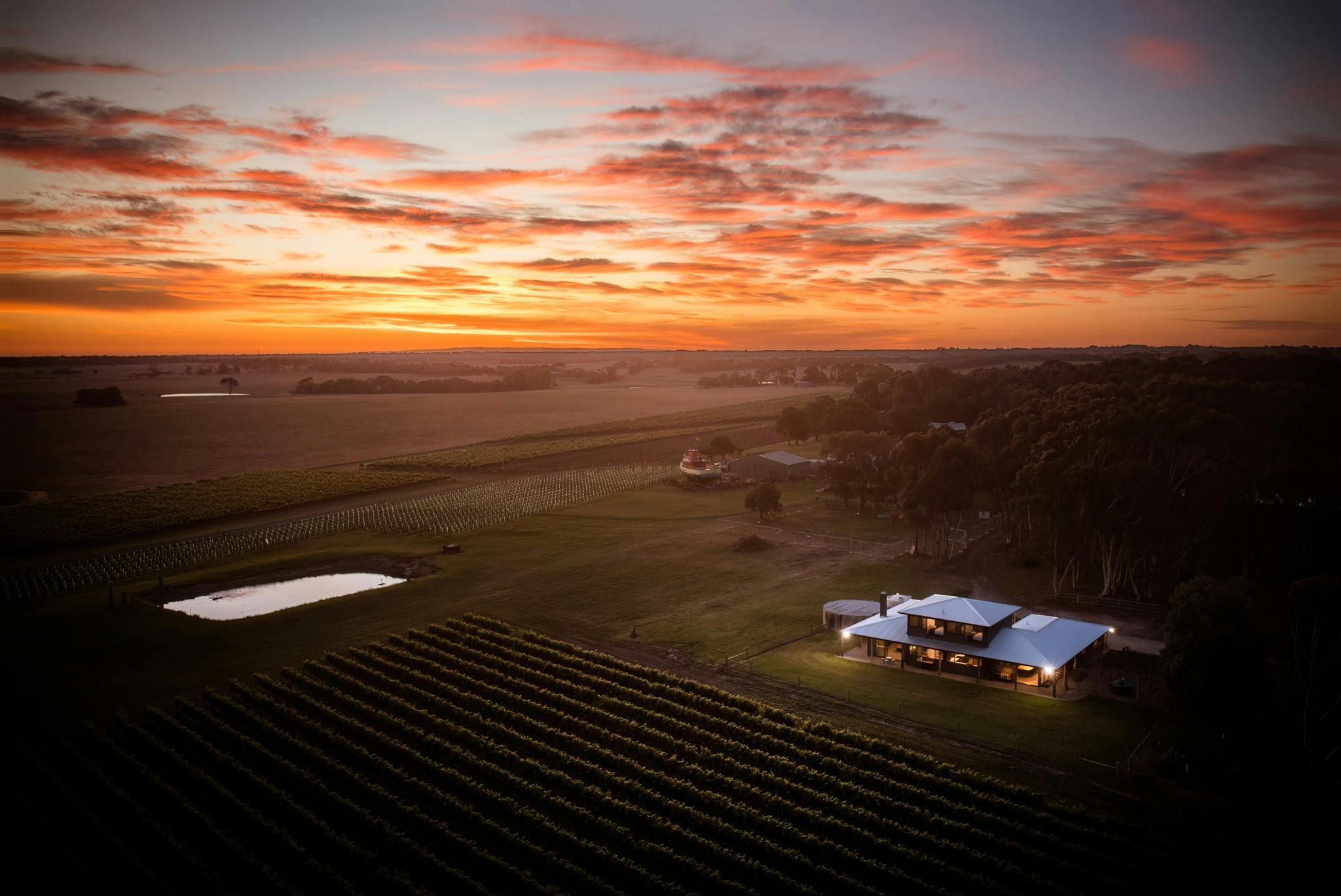 Vineyards sunset accommodation Quiddity Place Oakdene Wines Vineyard
