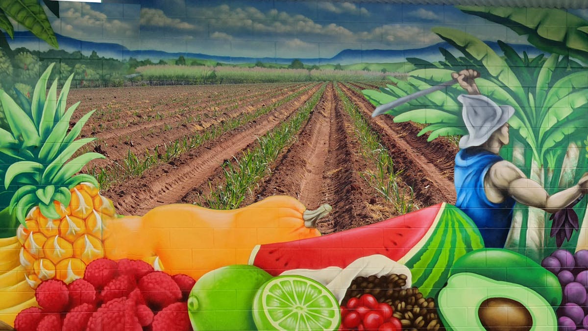 New mural showcasing the agriculture and multiculturalism of the farming workforce in Mareeba Shire.