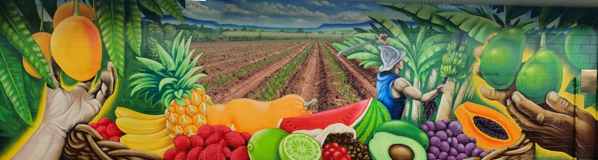 New mural showcasing the agriculture and multiculturalism of the farming workforce in Mareeba Shire.