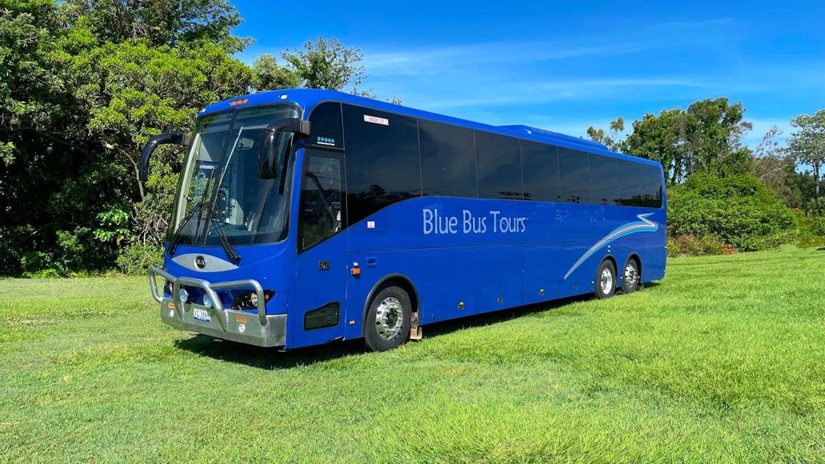 Bus parked on grass