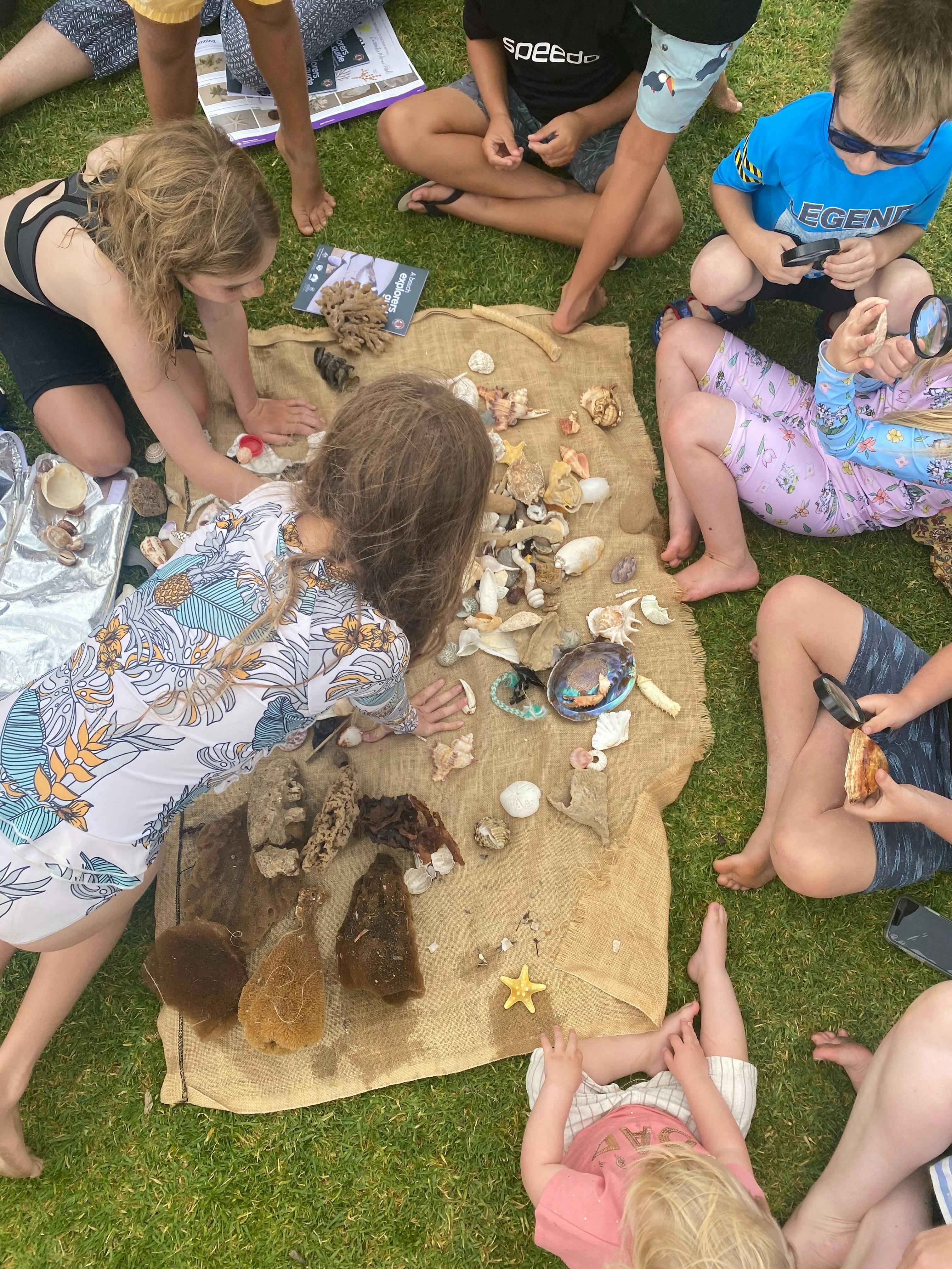 Beach findings with Fleurieu Marine Education