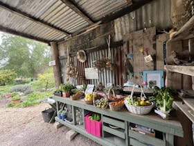 Herb Garden Shed