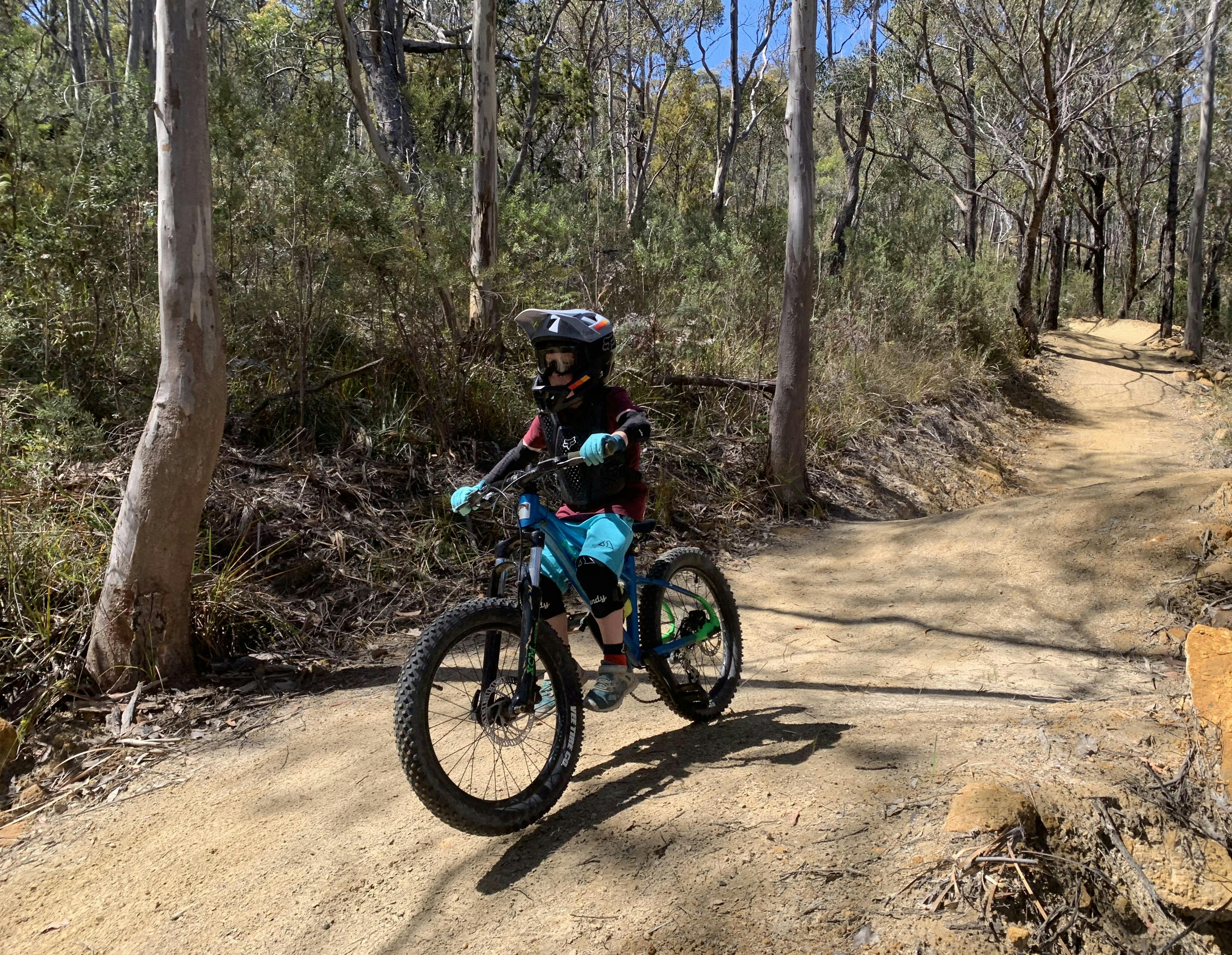 A boy rides a bike along a well formed path through bushland.