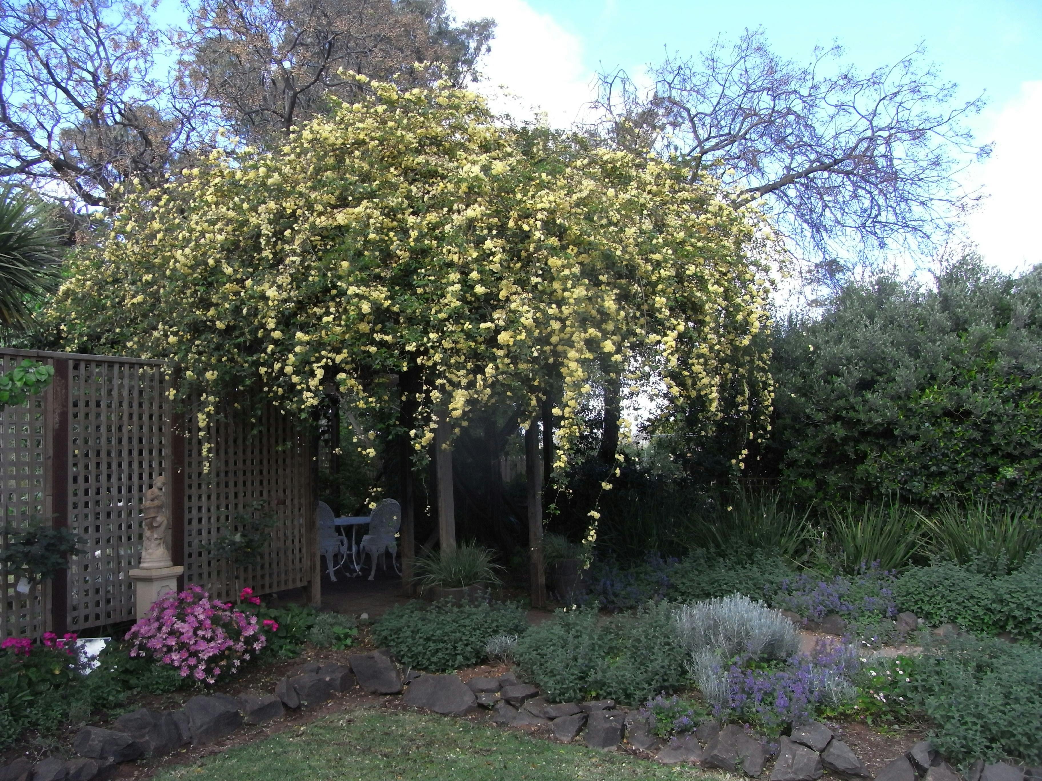Hazeldean Quandary near Temora