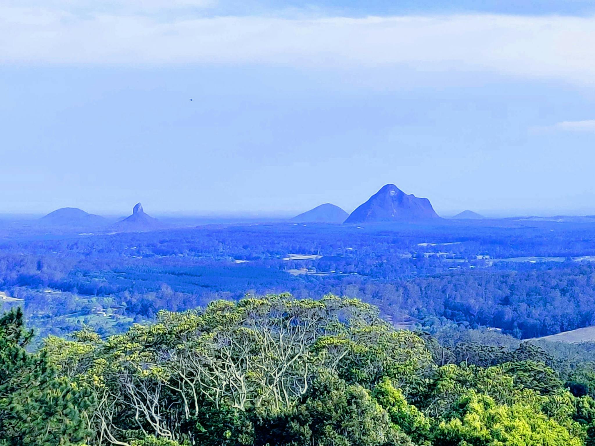 Sunshine Coast Food Tour