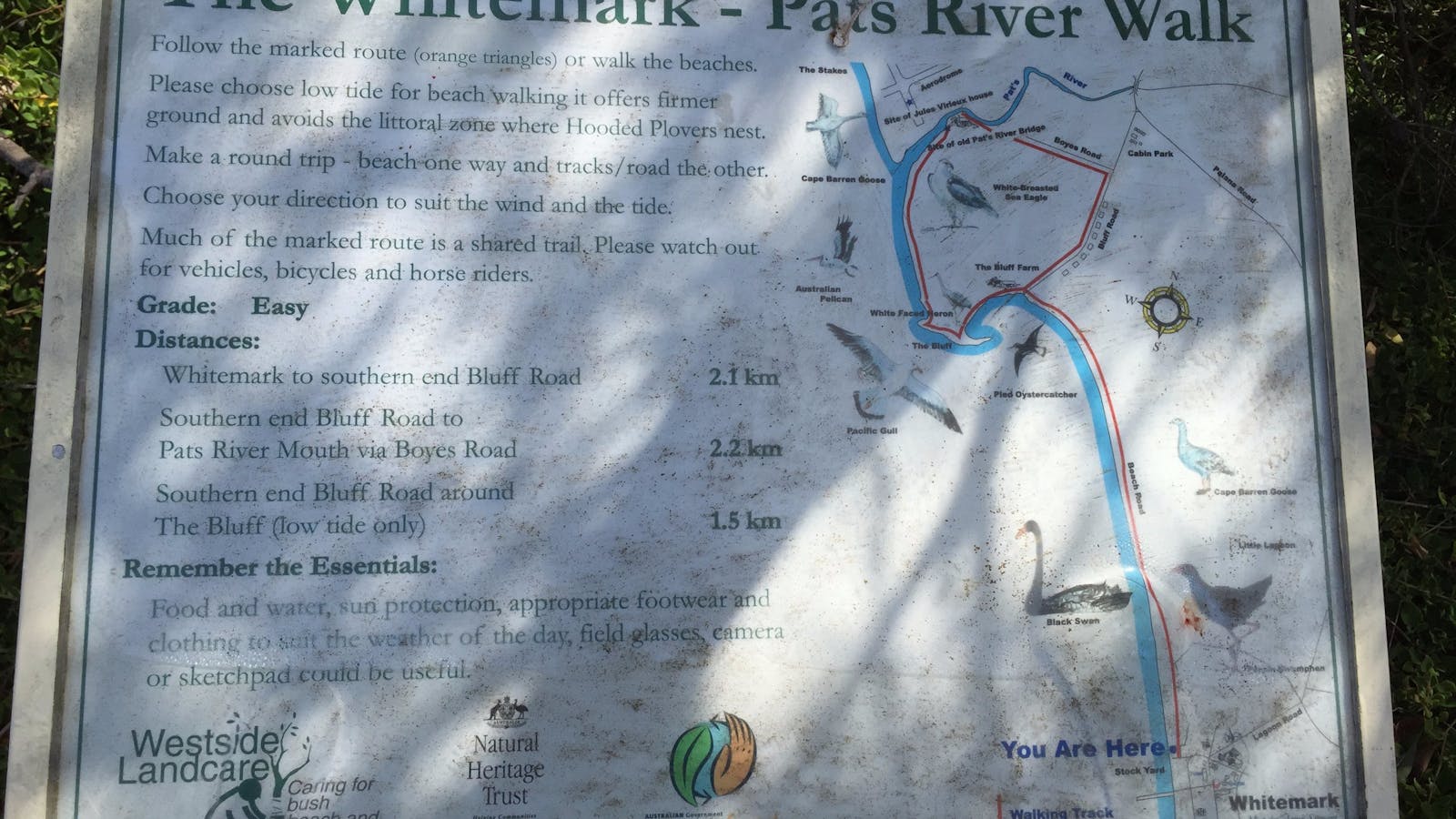 Bluff Track Fitness Trail