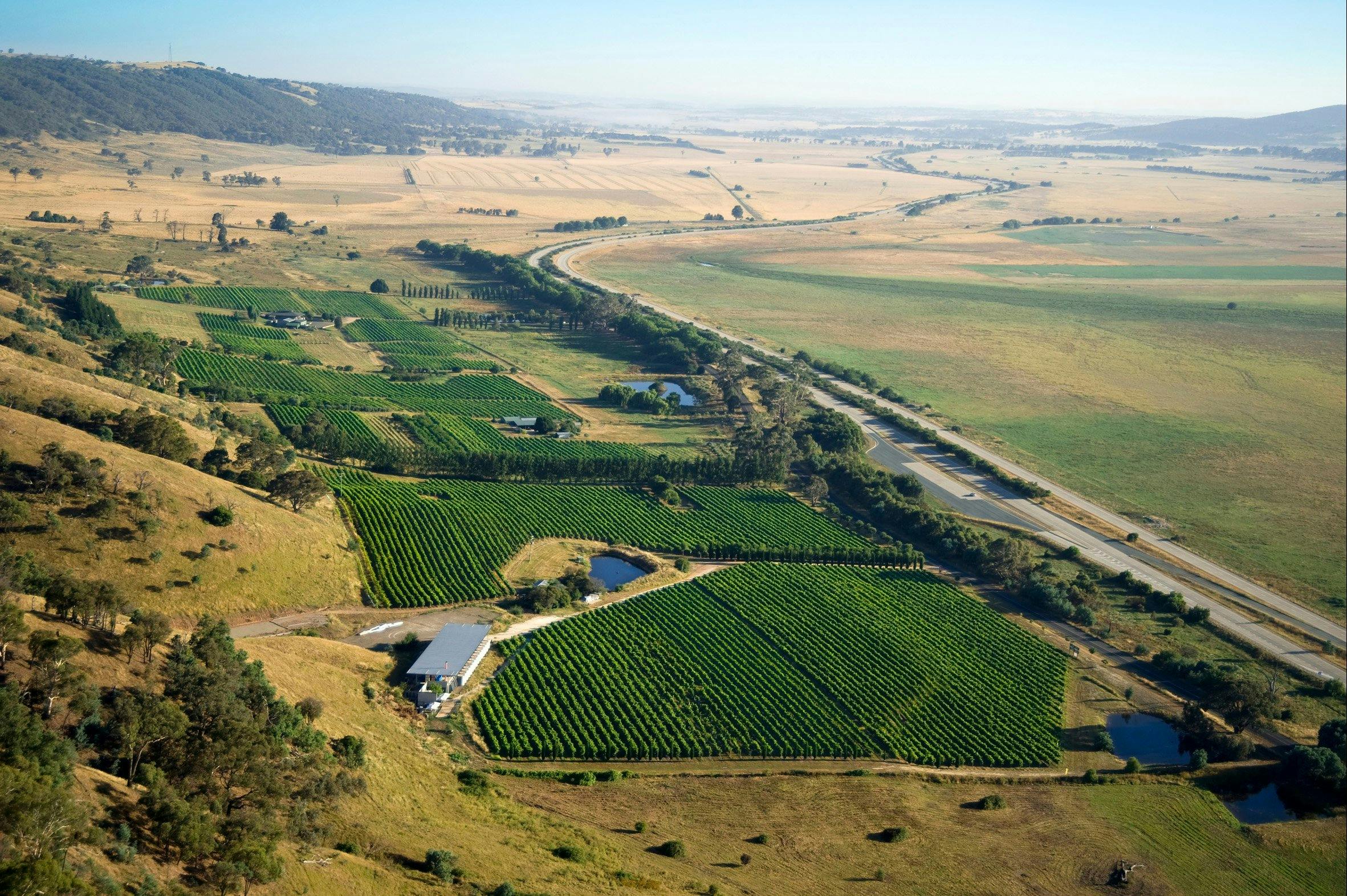 캔버라 근처의 쿨 클라이밋 와이너리