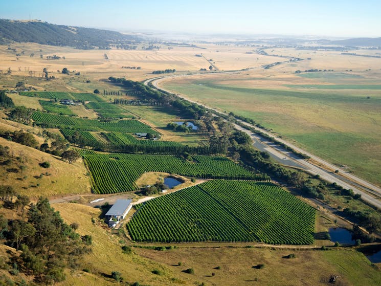 Cool Climate Wineries near Canberra
