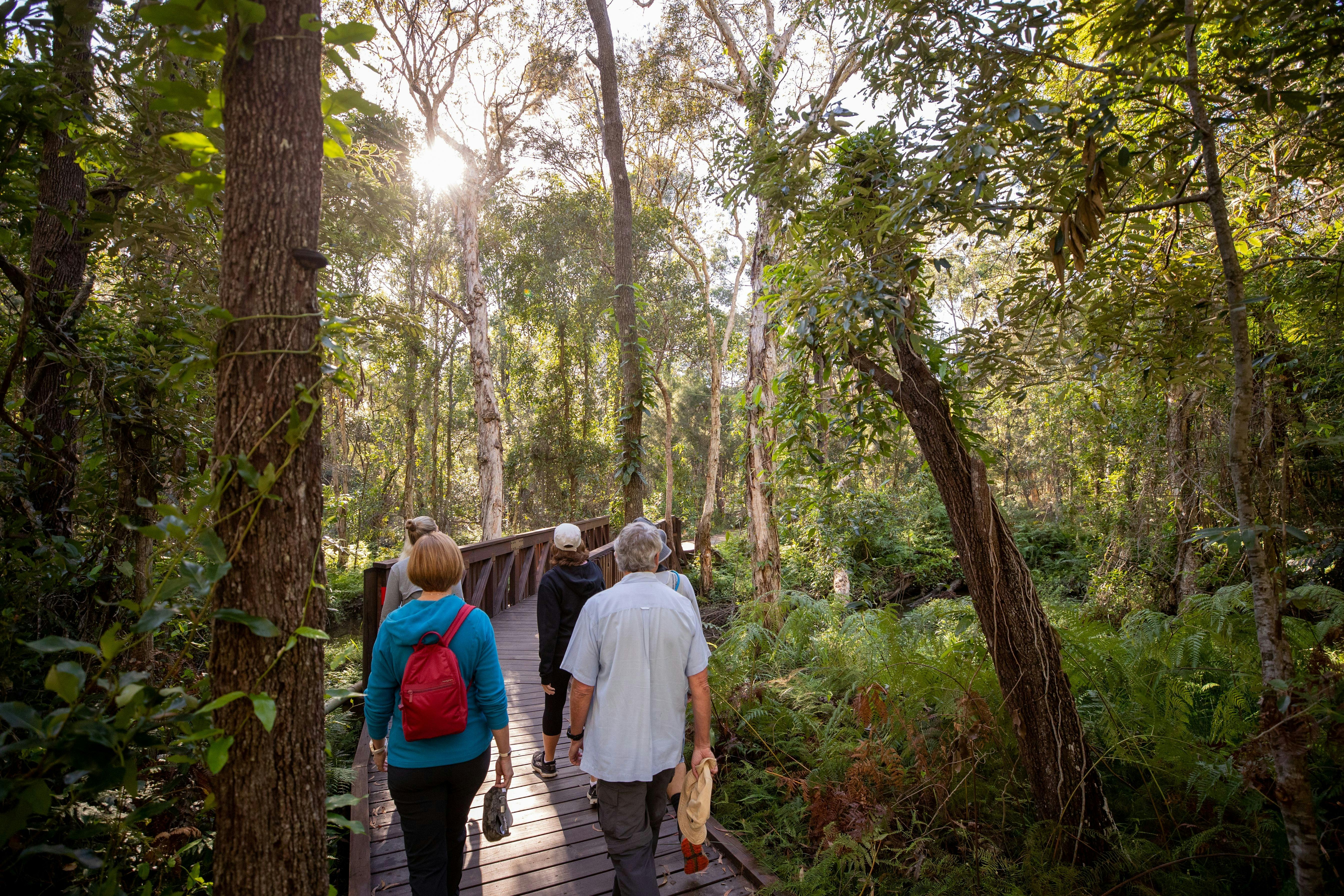 Group of people walking through bushland with a guide.