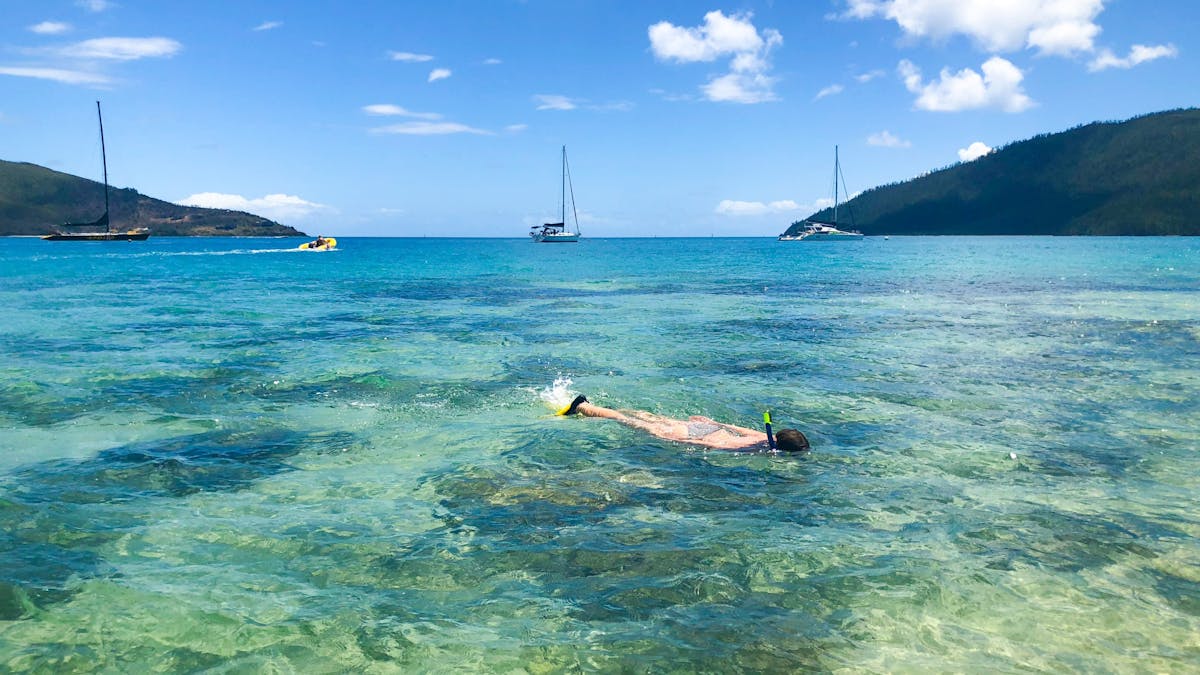 Great Barrier Reef snorkelling
