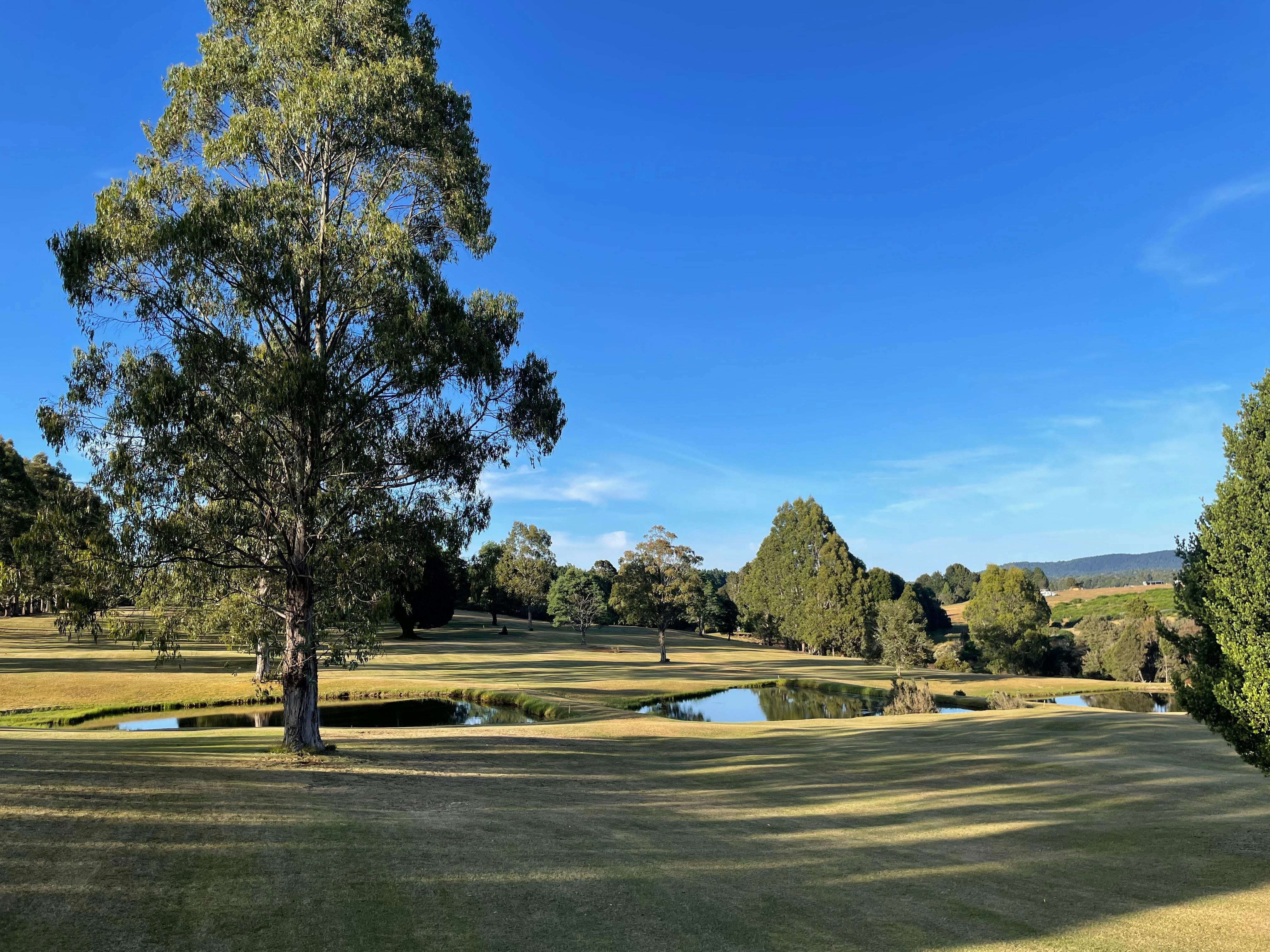 Mountain Vista Golf Club