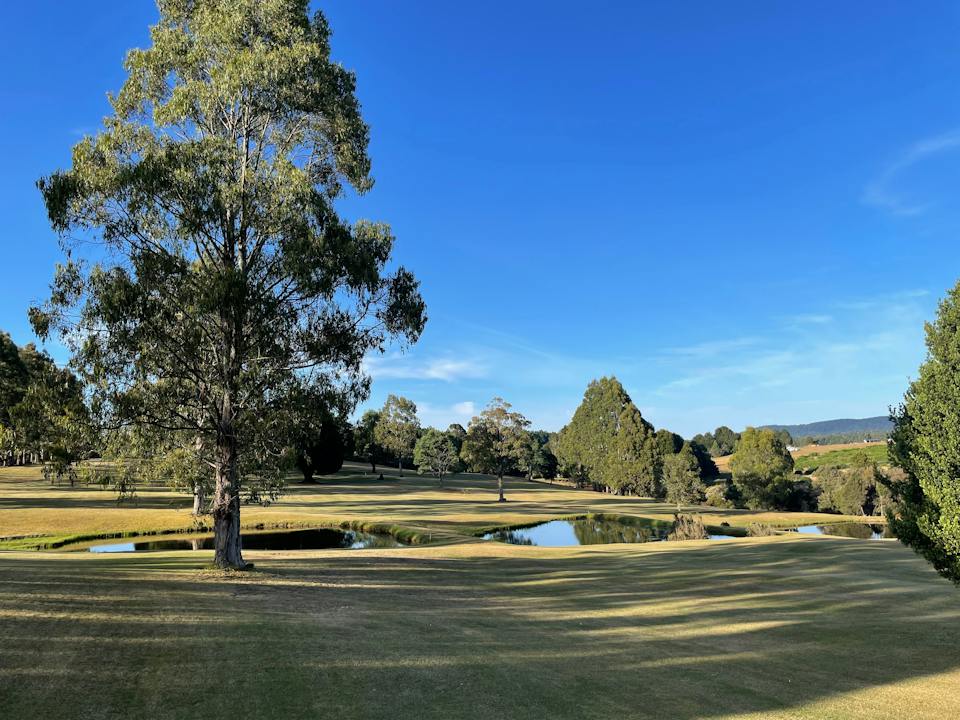 Mountain Vista Golf Club photo