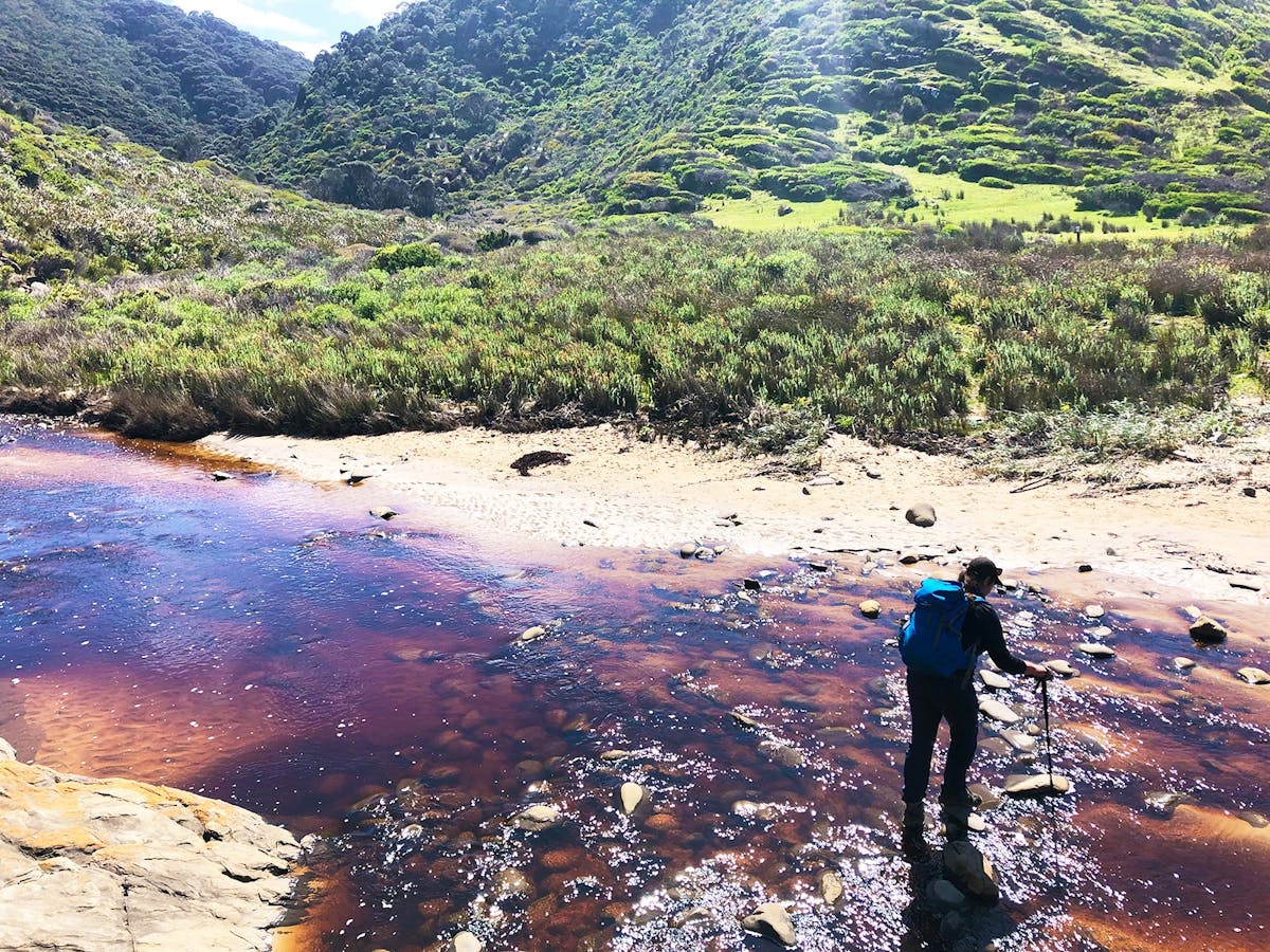 Big Heart Adventures wellness walks and hikes on Fleurieu Peninsula